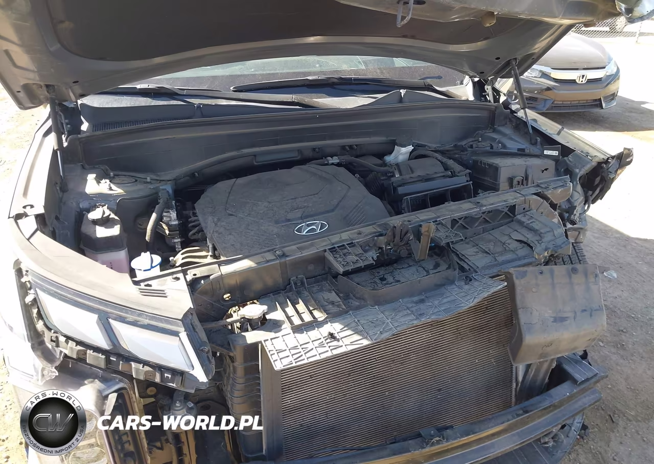 2023 Hyundai Palisade Calligraphy VIN:KM8R74GE2PU563481 - 10
