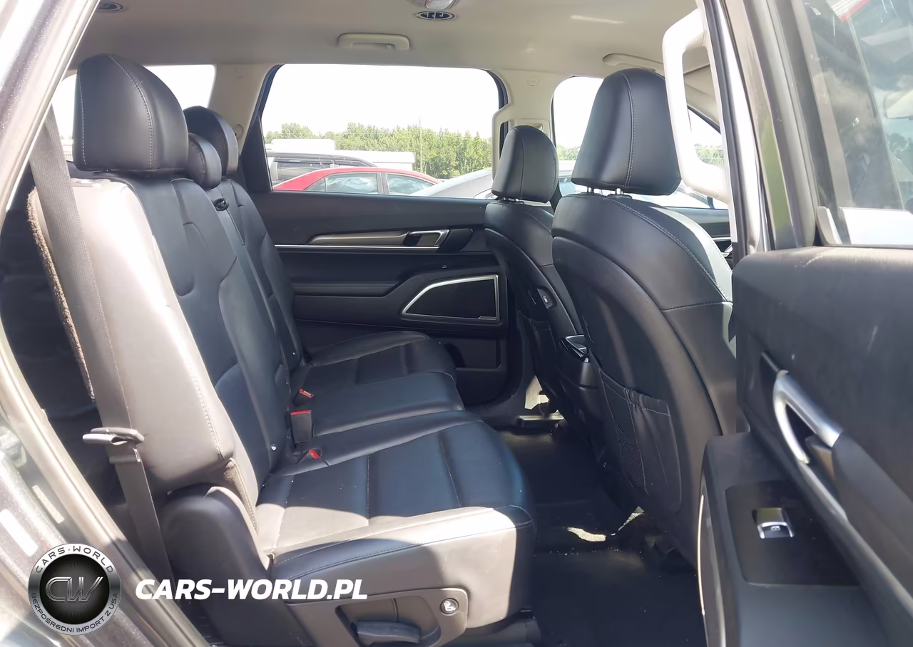 2020 Kia Telluride Lx VIN:5XYP24HC0LG012940 - 8