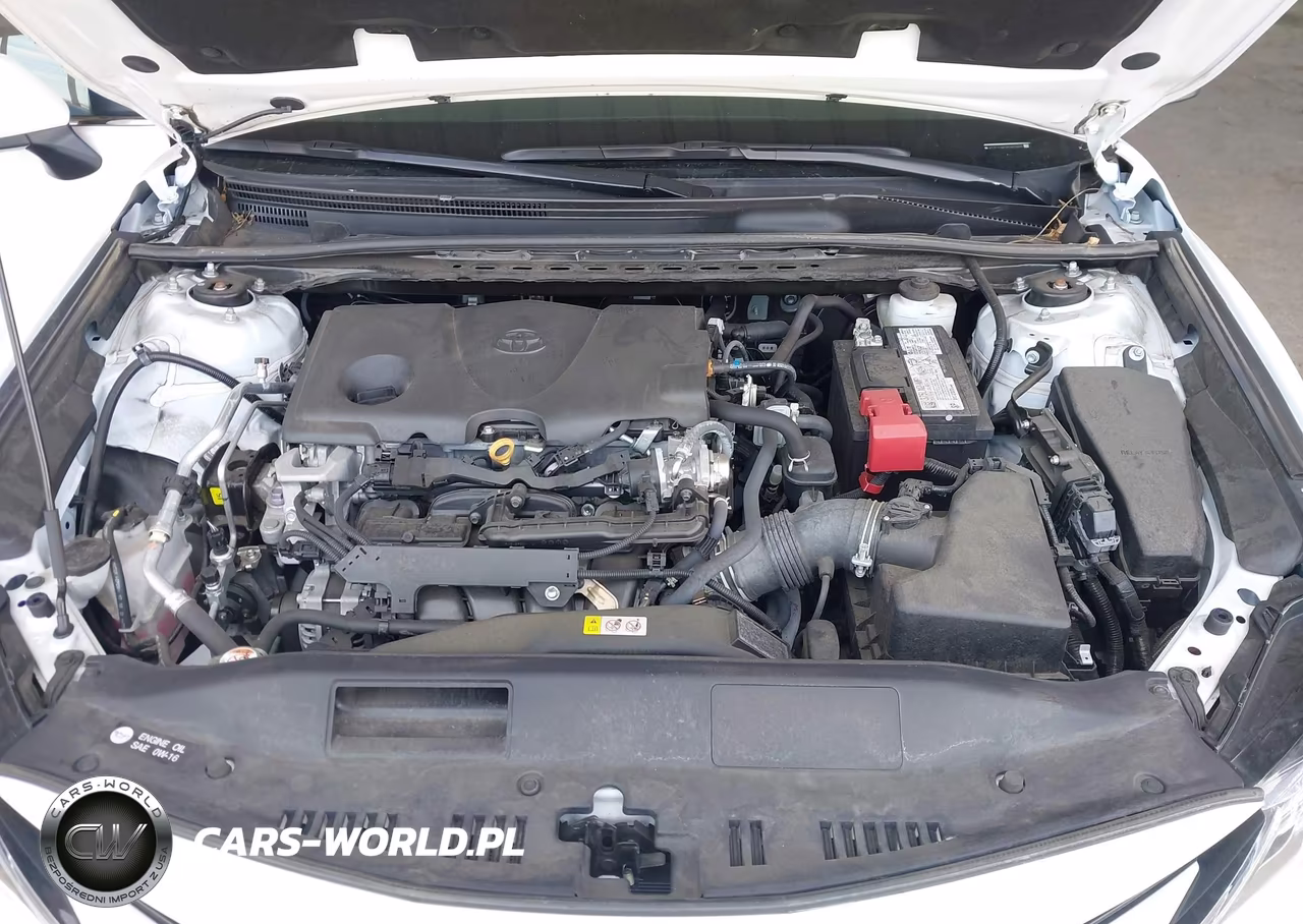 2023 Toyota Camry Le VIN:4T1C11AK3PU820605 - 10
