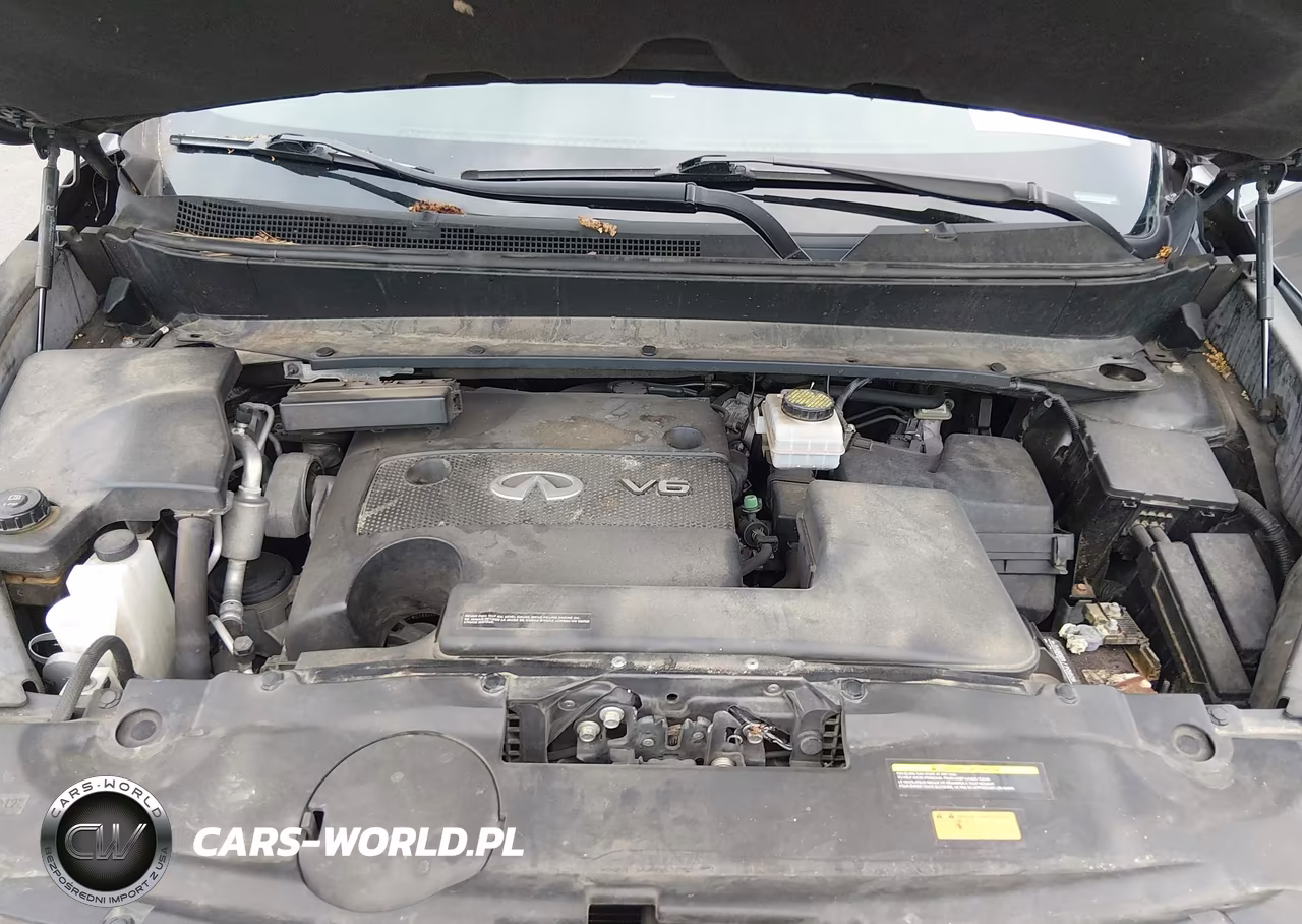 2015 Infiniti Qx60 VIN:5N1AL0MM5FC552489 - 10