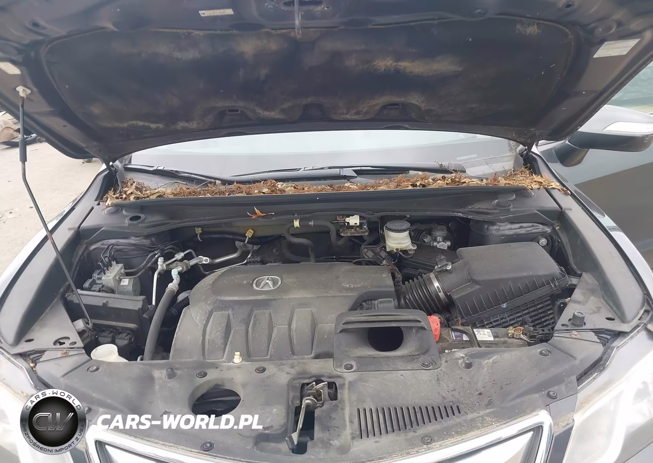 2014 Acura Rdx VIN:5J8TB3H31EL004699 - 10