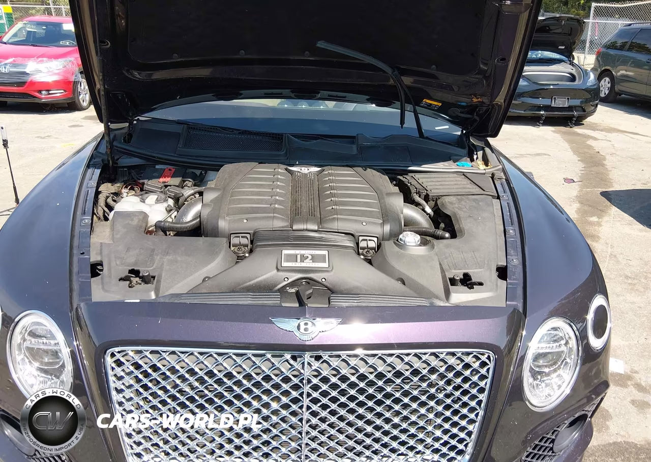 2017 Bentley Bentayga W12-W12 First Edition VIN:SJAAC2ZV9HC015209 - 10