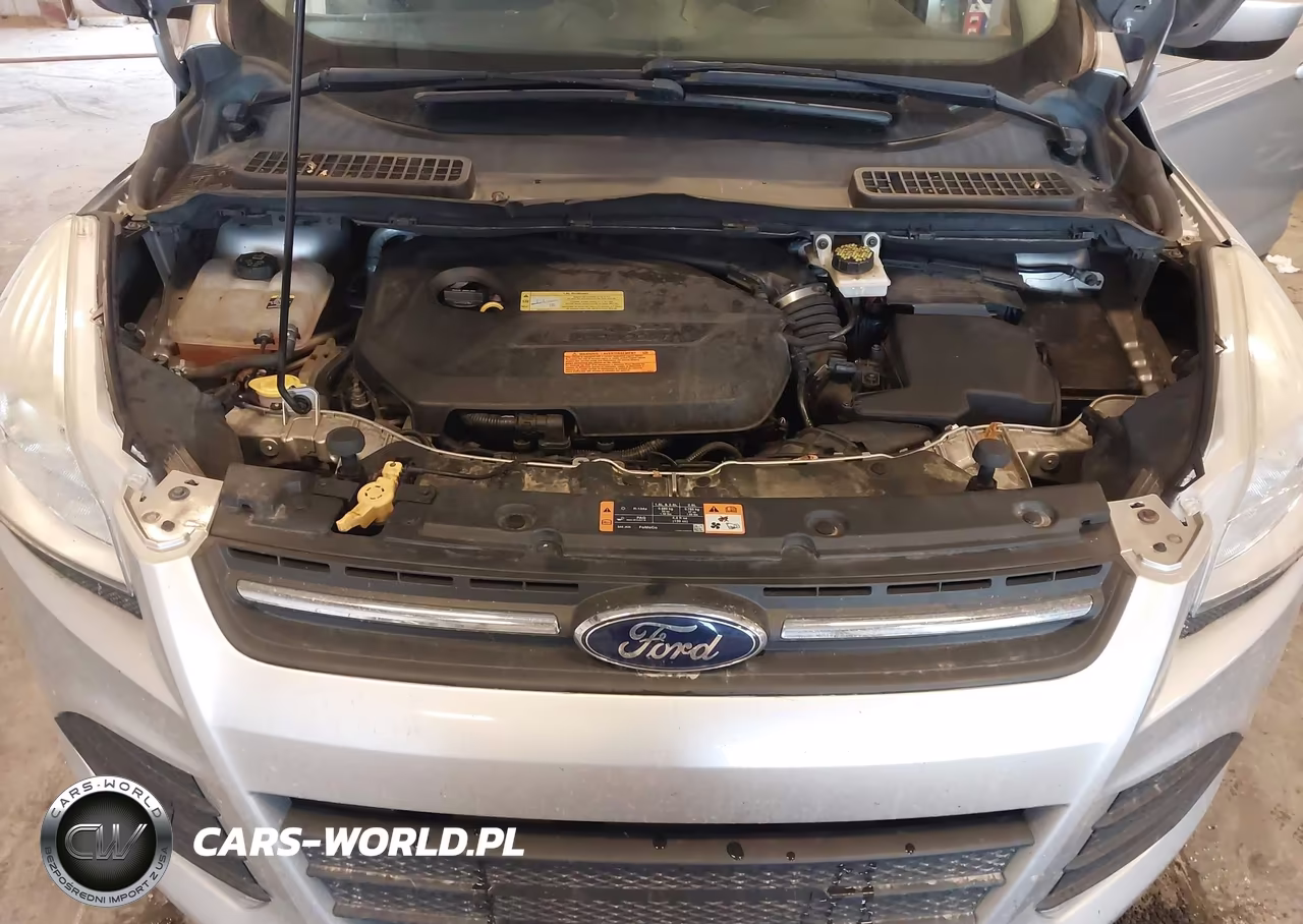 2013 Ford Escape Se VIN:1FMCU0GX0DUD36486 - 10