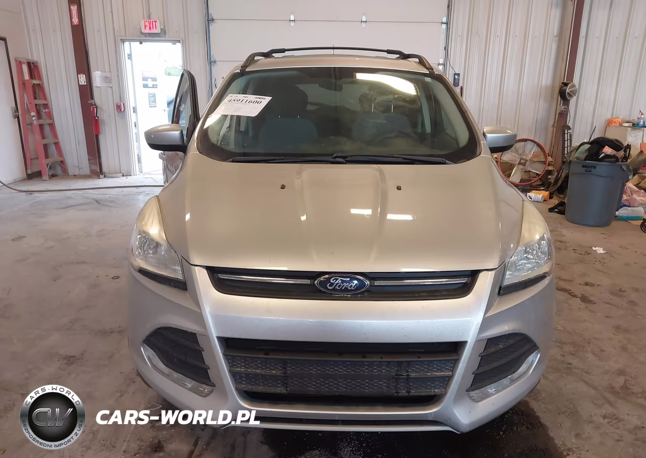 2013 Ford Escape Se VIN:1FMCU0GX0DUD36486 - 12