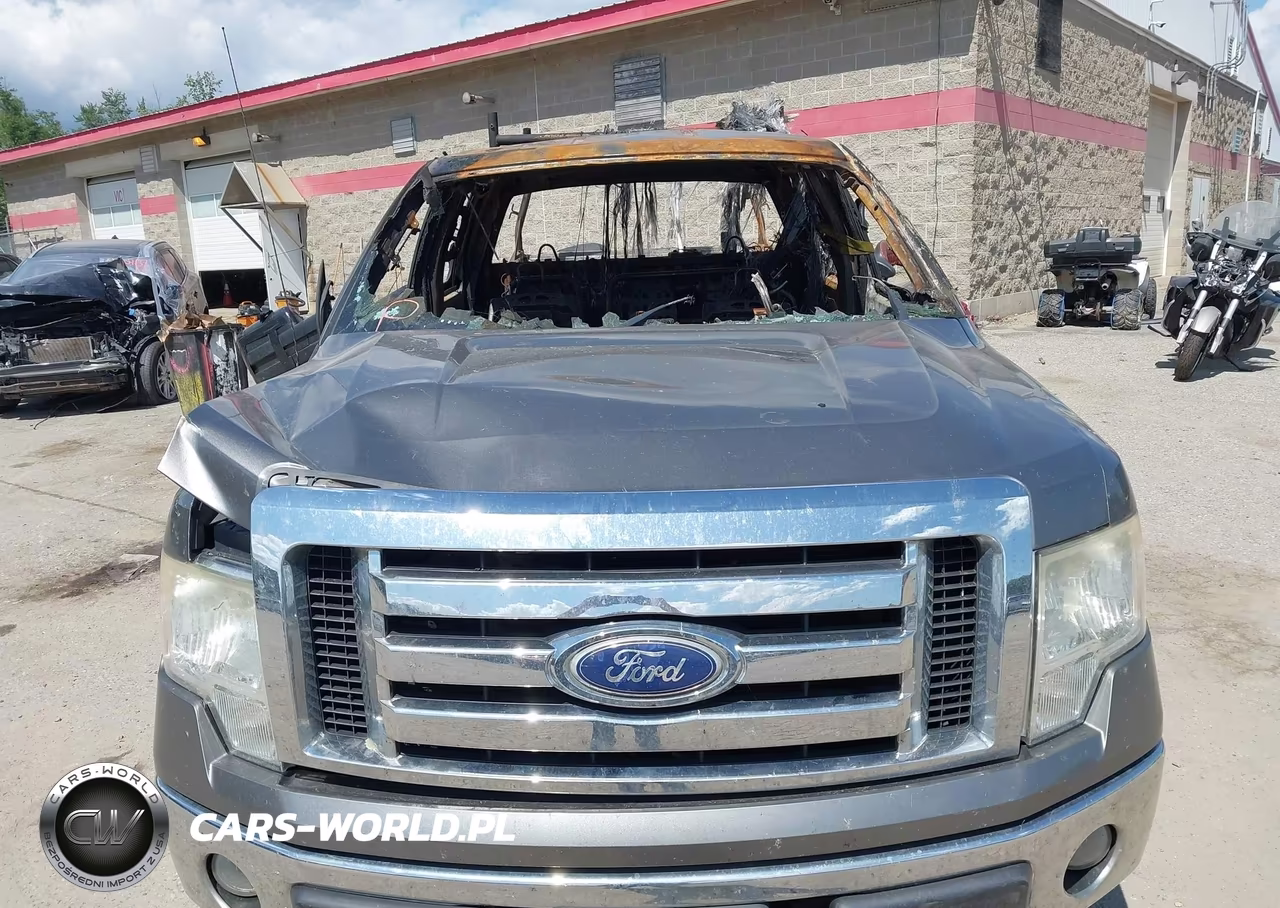 2010 Ford F-150 Xlt VIN:1FTFW1EV8AFB54957 - 10