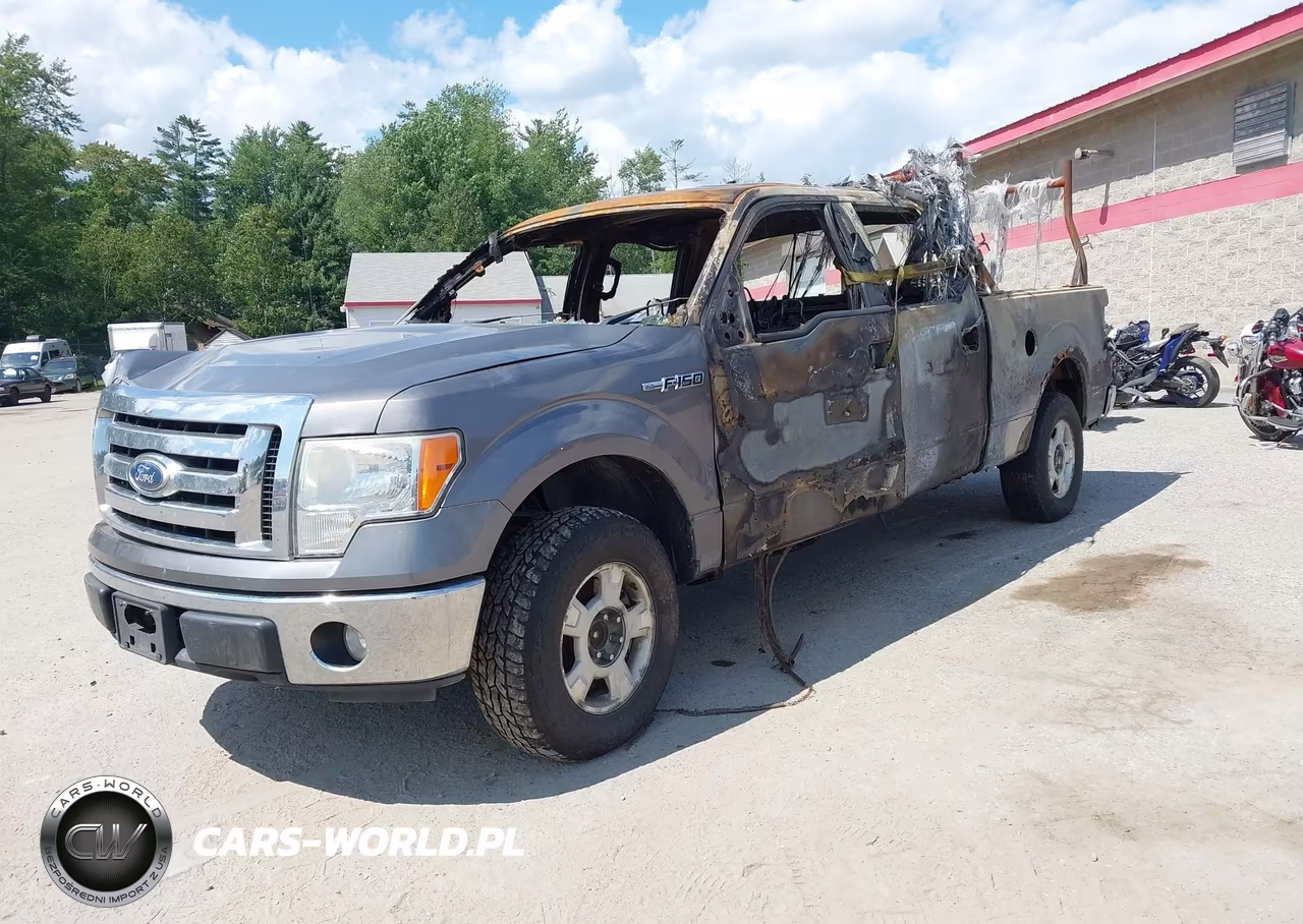 2010 Ford F-150 Xlt VIN:1FTFW1EV8AFB54957 - 2