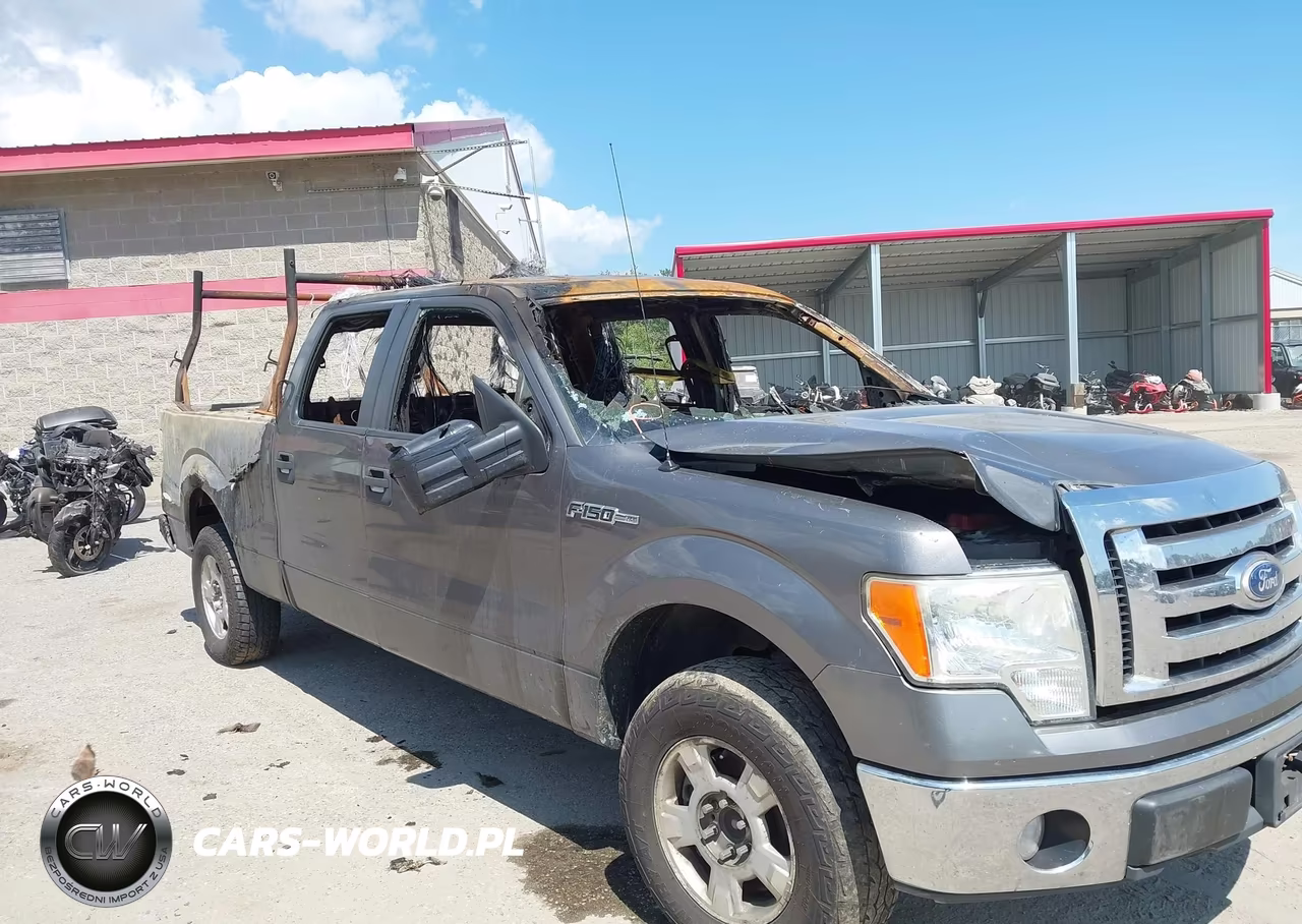 2010 Ford F-150 Xlt VIN:1FTFW1EV8AFB54957 - 6