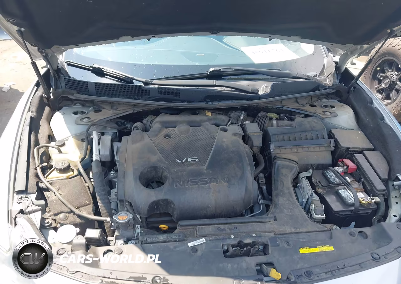 2018 Nissan Maxima 3.5 Platinum VIN:1N4AA6AP7JC397440 - 10