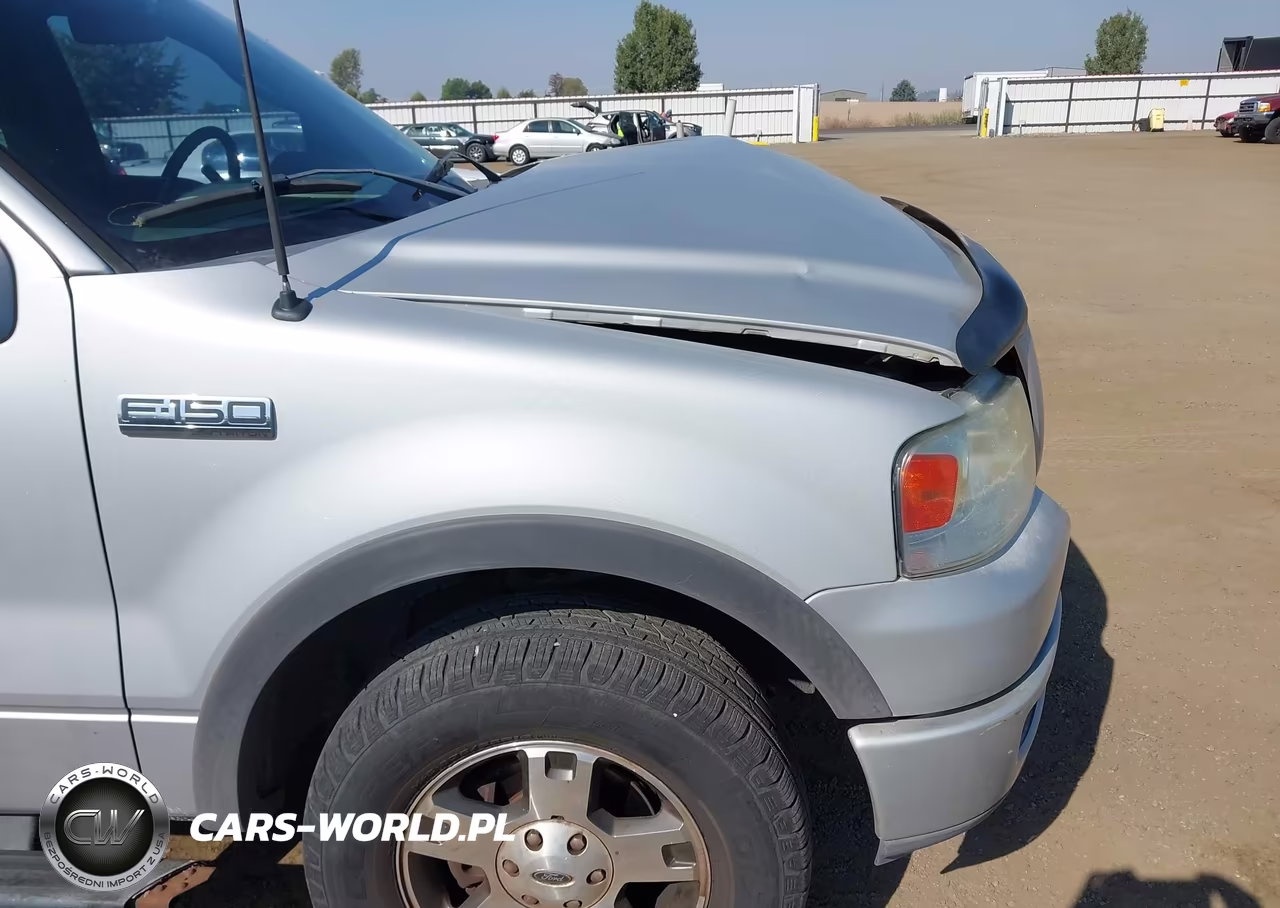2004 Ford F-150 Fx4-Lariat-Xlt VIN:1FTPW14524KB44782 - 19