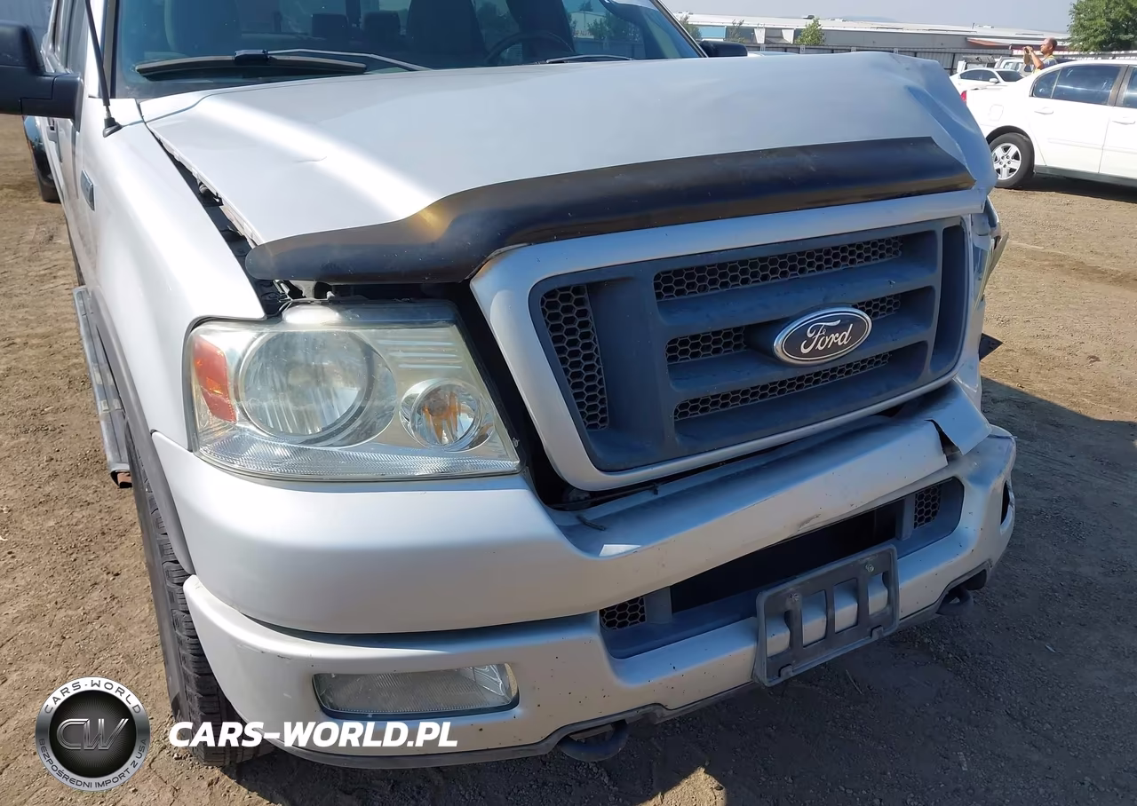 2004 Ford F-150 Fx4-Lariat-Xlt VIN:1FTPW14524KB44782 - 20