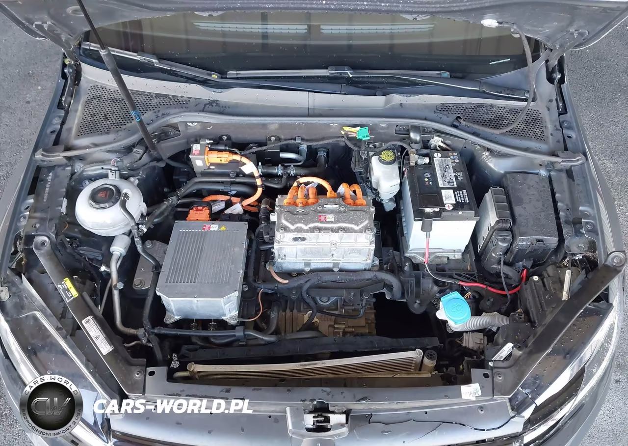 2019 Volkswagen E-Golf Se VIN:WVWKR7AU6KW909336 - 10