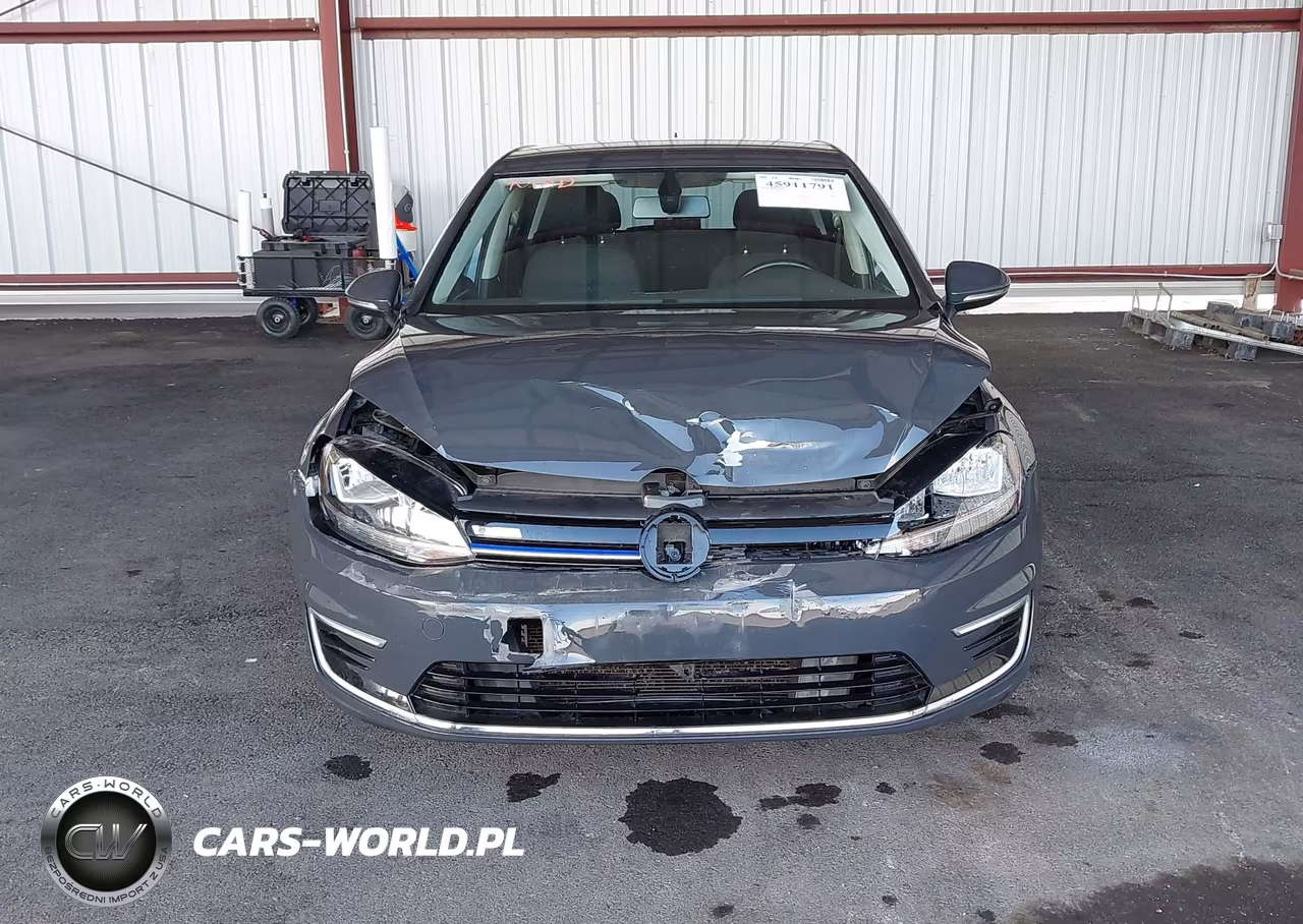 2019 Volkswagen E-Golf Se VIN:WVWKR7AU6KW909336 - 13
