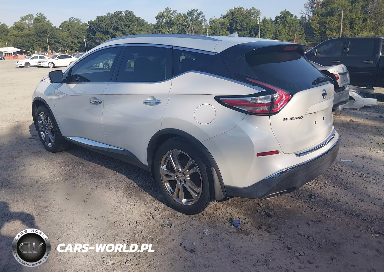 2016 Nissan Murano Platinum VIN:5N1AZ2MGXGN133399 - 3
