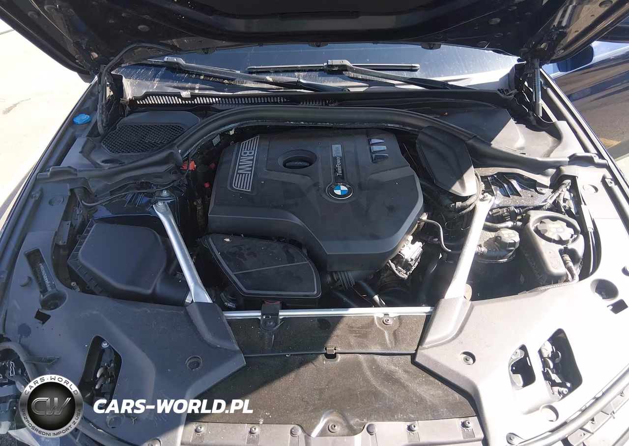 2019 BMW 530I VIN:WBAJA5C56KWW04946 - 10