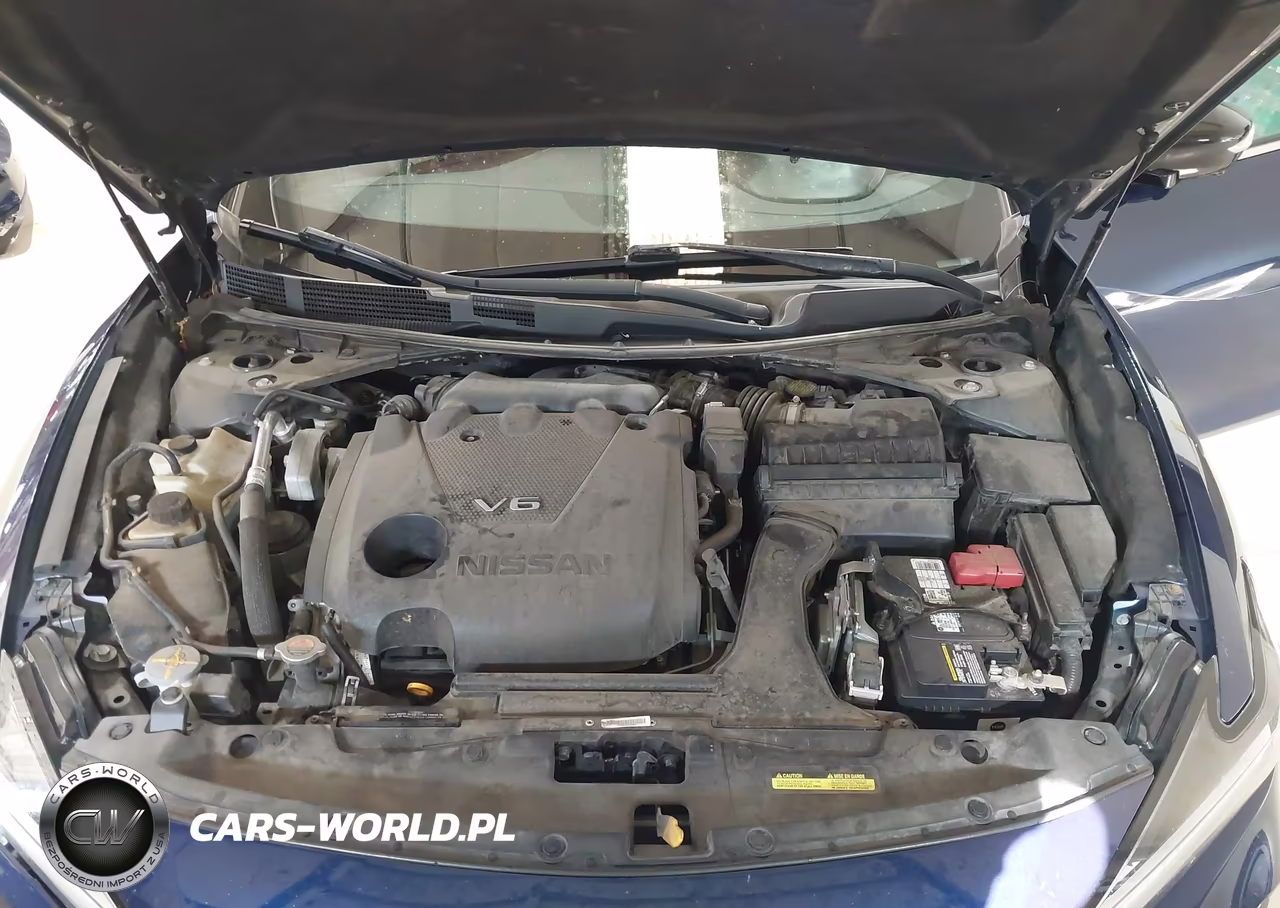 2020 Nissan Maxima Platinum Xtronic Cvt VIN:1N4AA6FV4LC382548 - 10