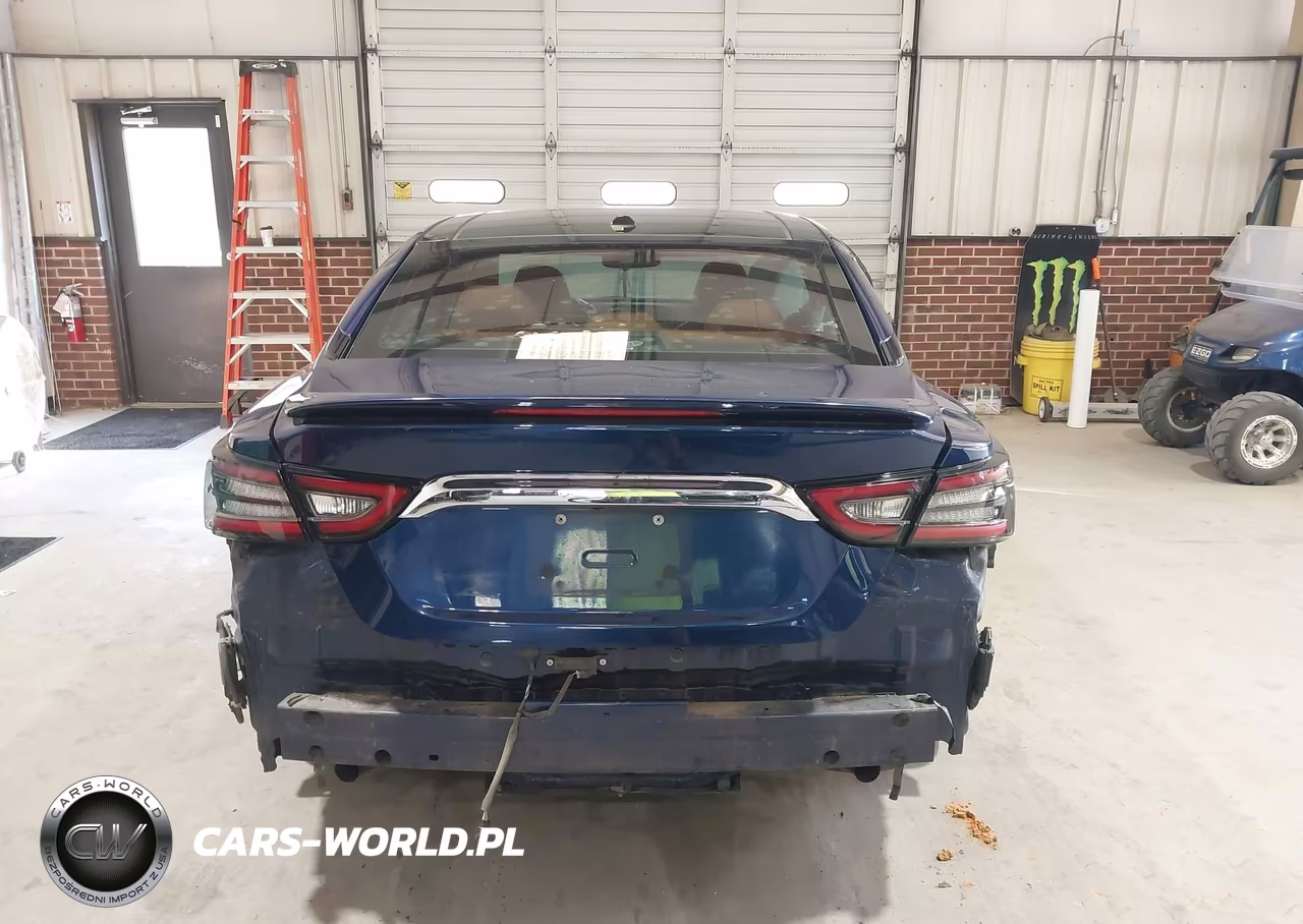 2020 Nissan Maxima Platinum Xtronic Cvt VIN:1N4AA6FV4LC382548 - 17
