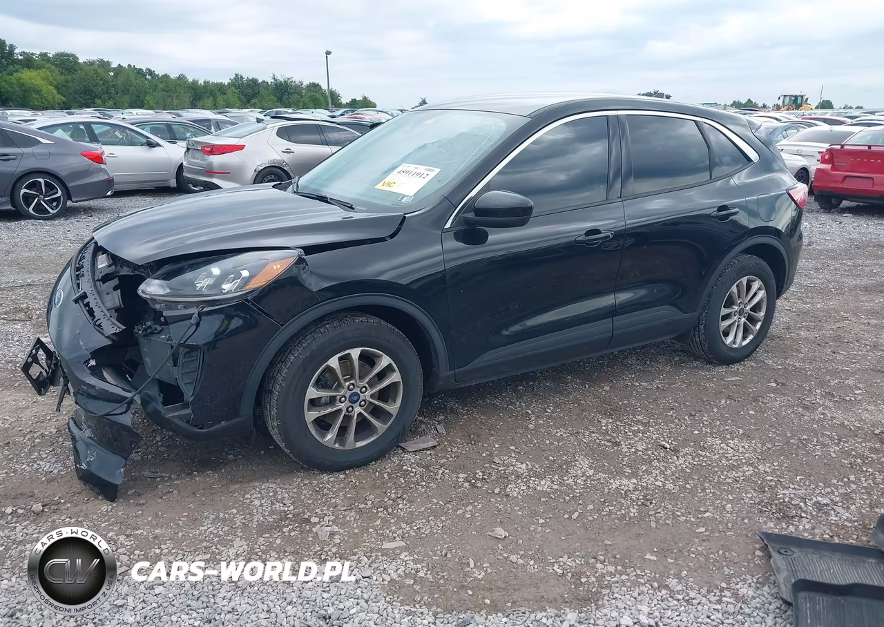 2021 Ford Escape Se VIN:1FMCU9G65MUA20562 - 2