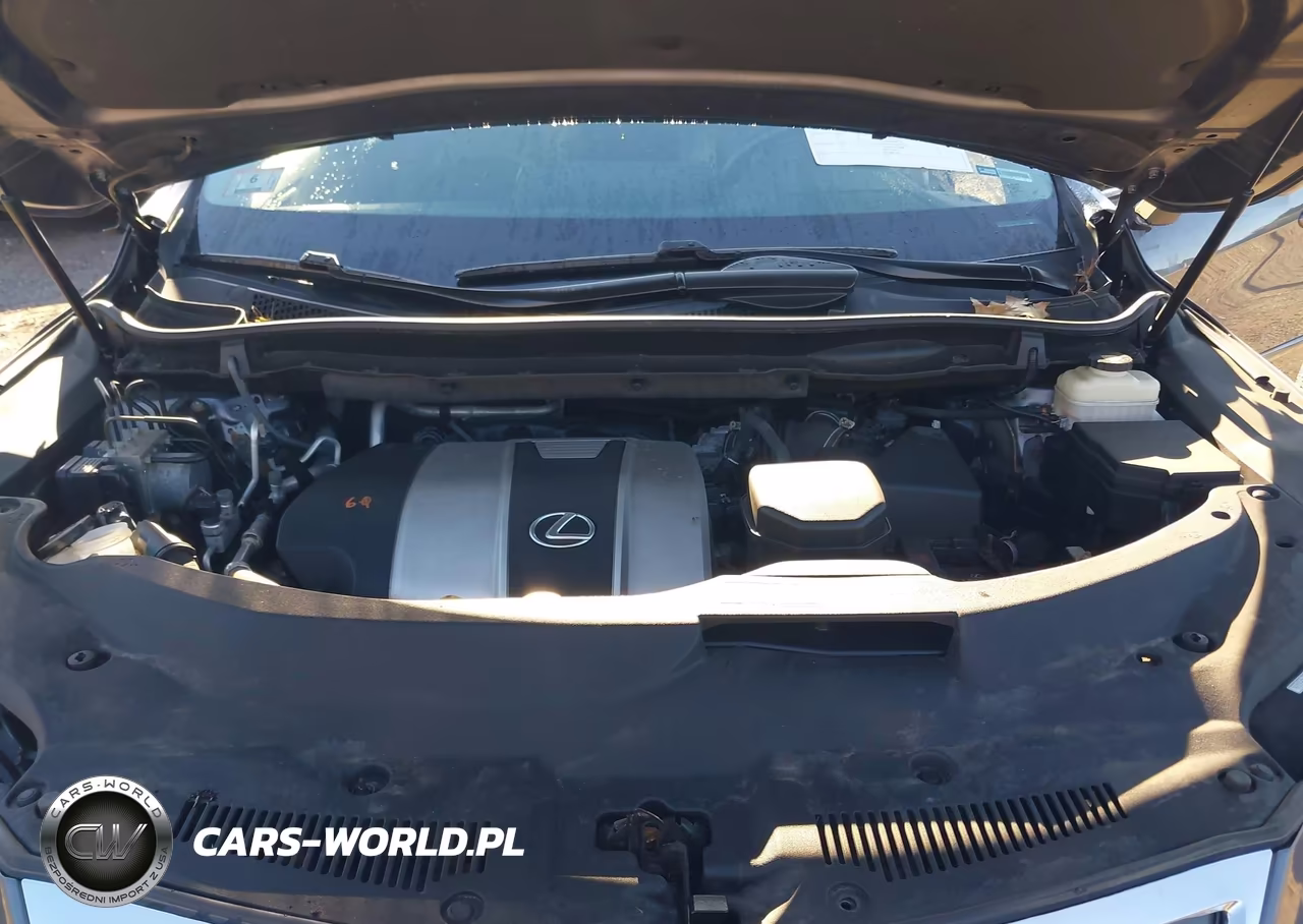 2017 Lexus Rx 350 VIN:2T2BZMCA6HC123745 - 10