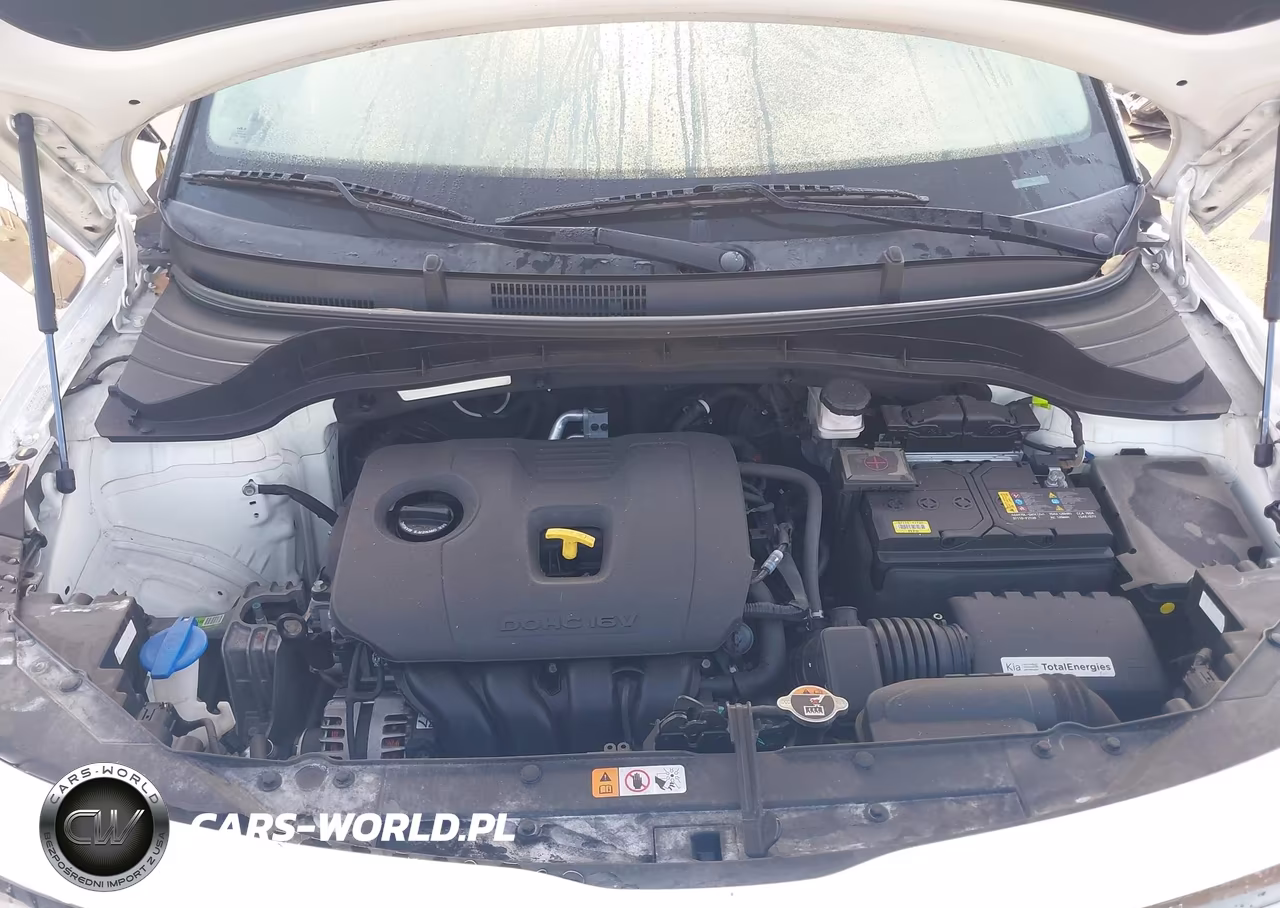 2023 Kia Soul Gt-Line VIN:KNDJ53AU0P7849930 - 10