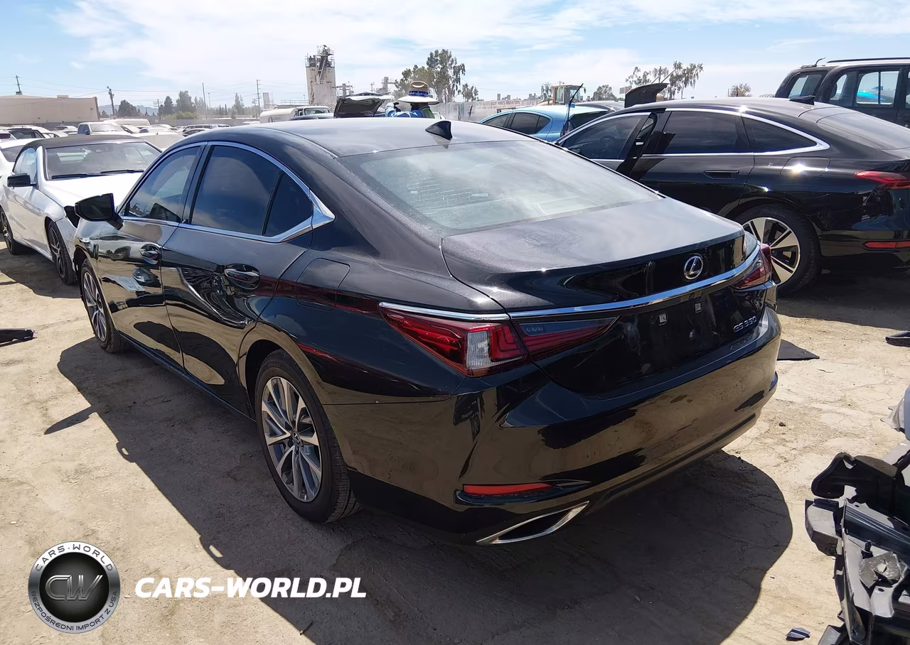 2025 Lexus Es 350 VIN:58ACZ1B18SU201076 - 3