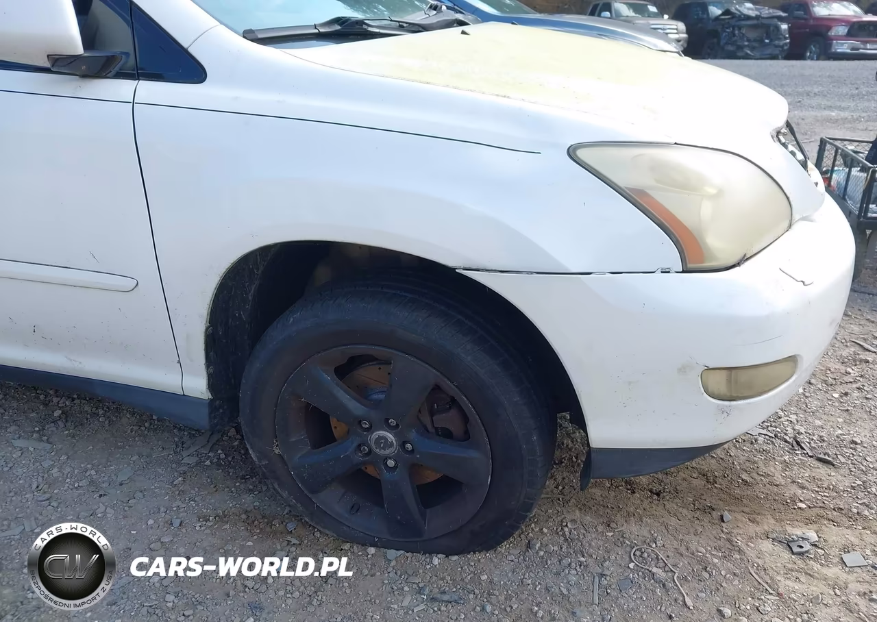 2004 Lexus Rx 330 VIN:JTJGA31U440012928 - 13