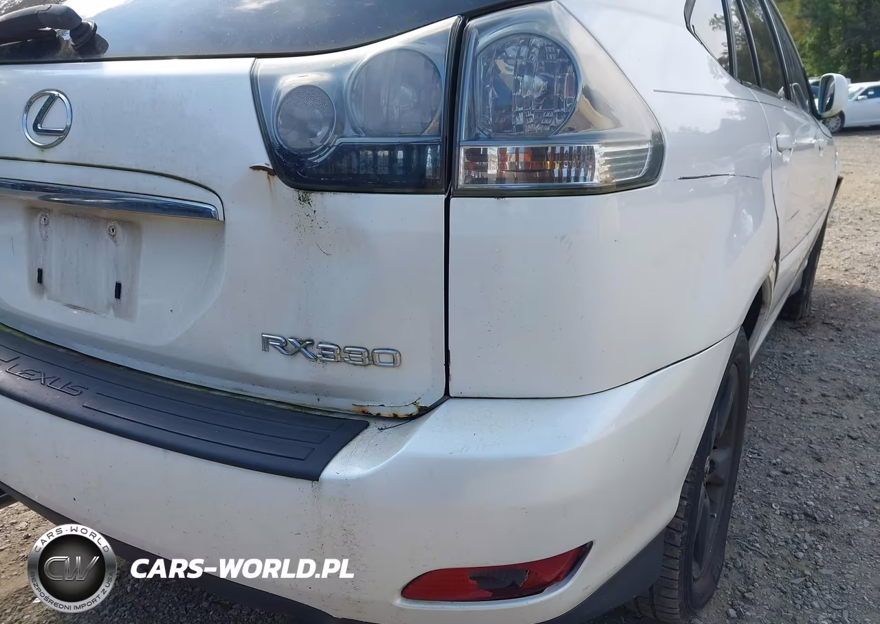 2004 Lexus Rx 330 VIN:JTJGA31U440012928 - 16