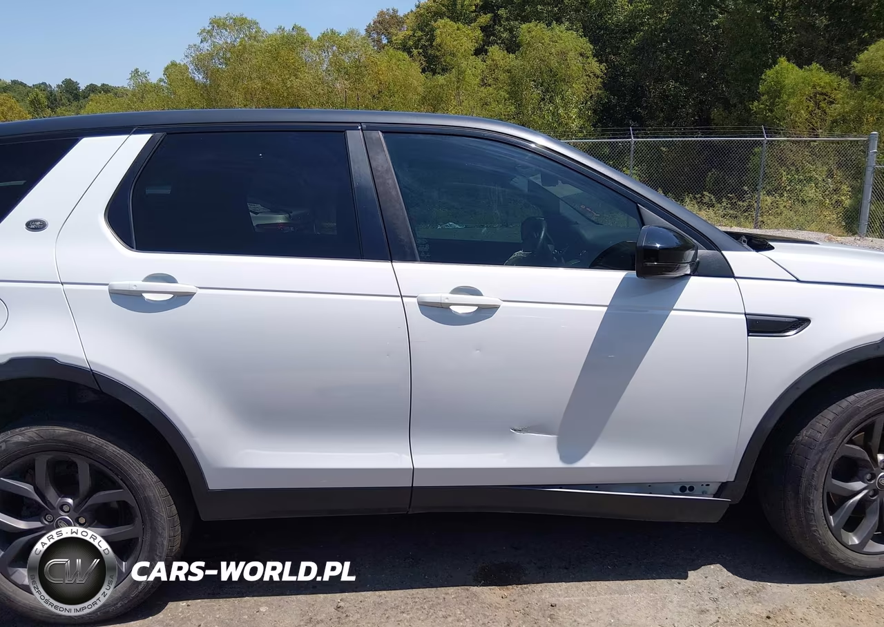 2019 Land Rover Discovery Sport Hse-Landmark Edition VIN:SALCR2FX7KH829776 - 13