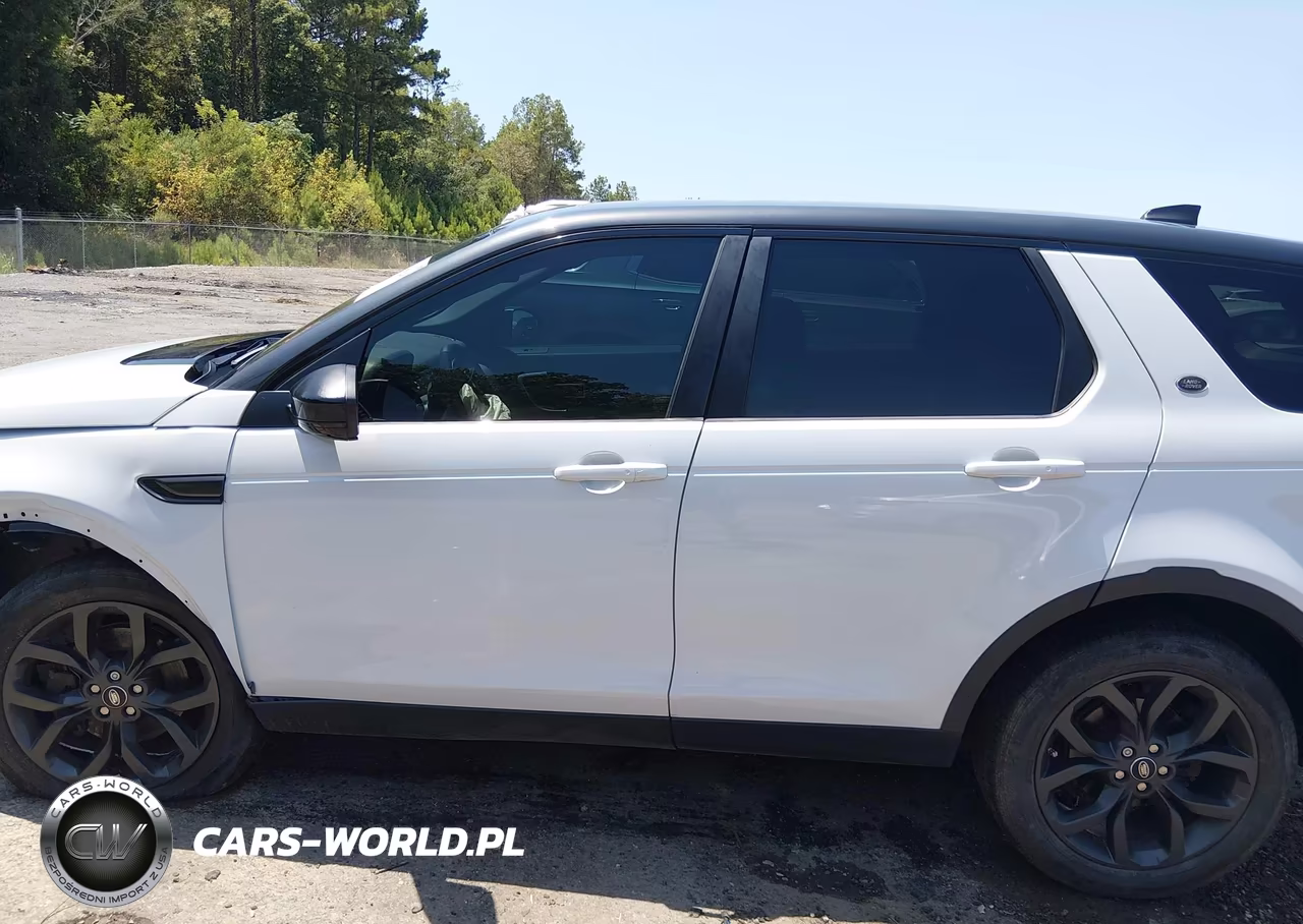 2019 Land Rover Discovery Sport Hse-Landmark Edition VIN:SALCR2FX7KH829776 - 14