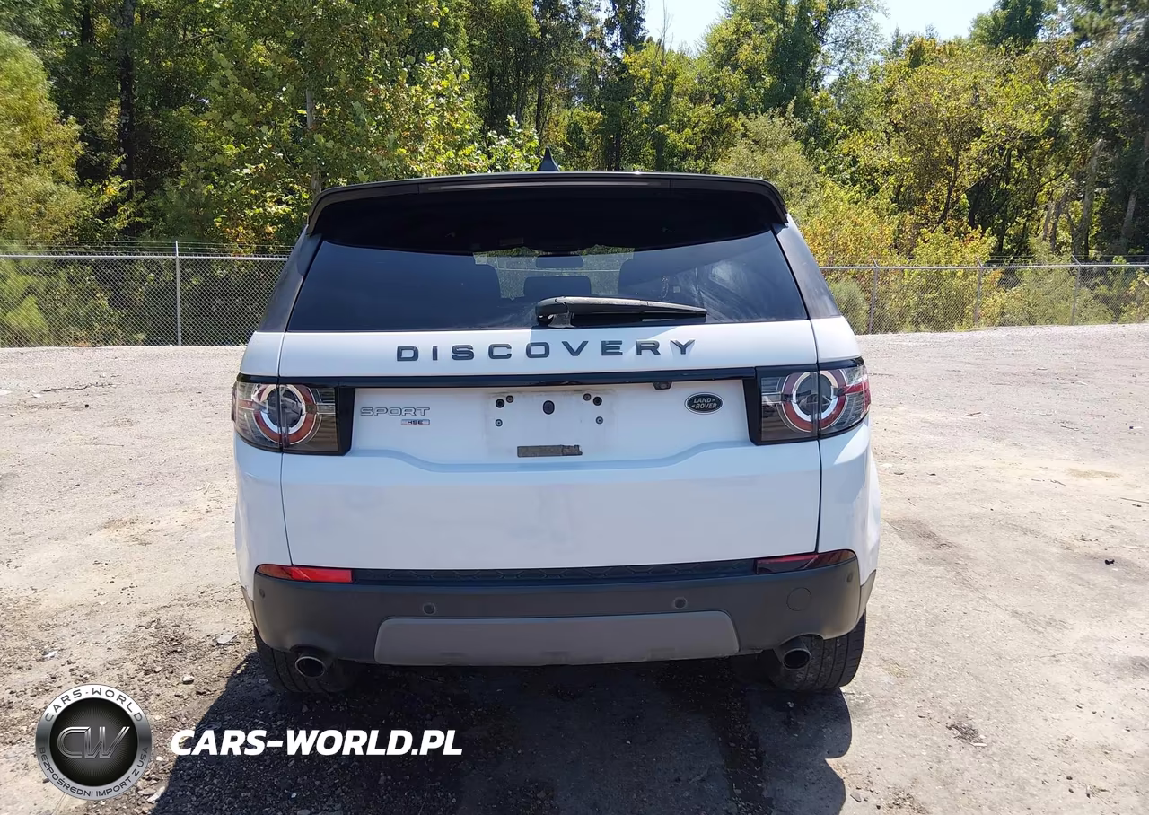 2019 Land Rover Discovery Sport Hse-Landmark Edition VIN:SALCR2FX7KH829776 - 16