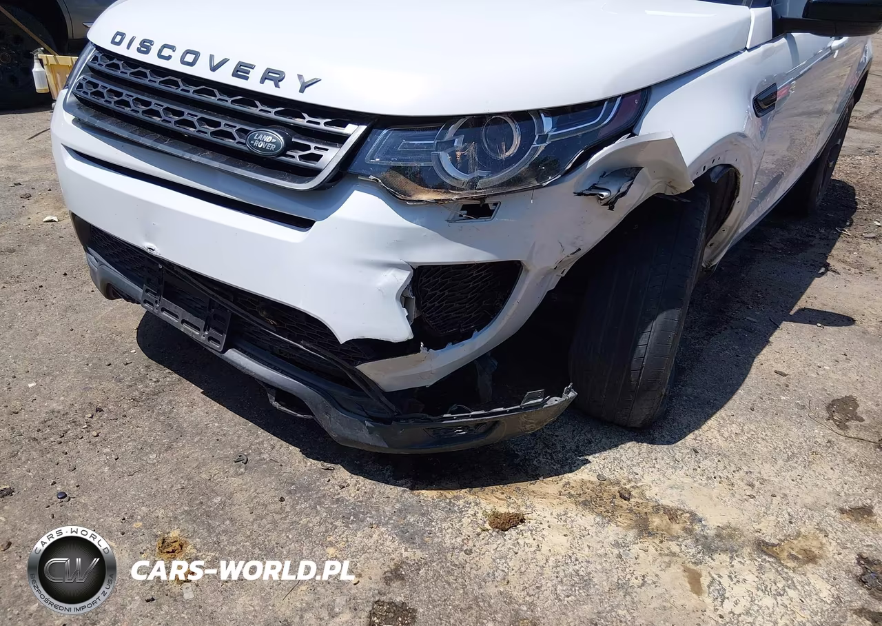 2019 Land Rover Discovery Sport Hse-Landmark Edition VIN:SALCR2FX7KH829776 - 17