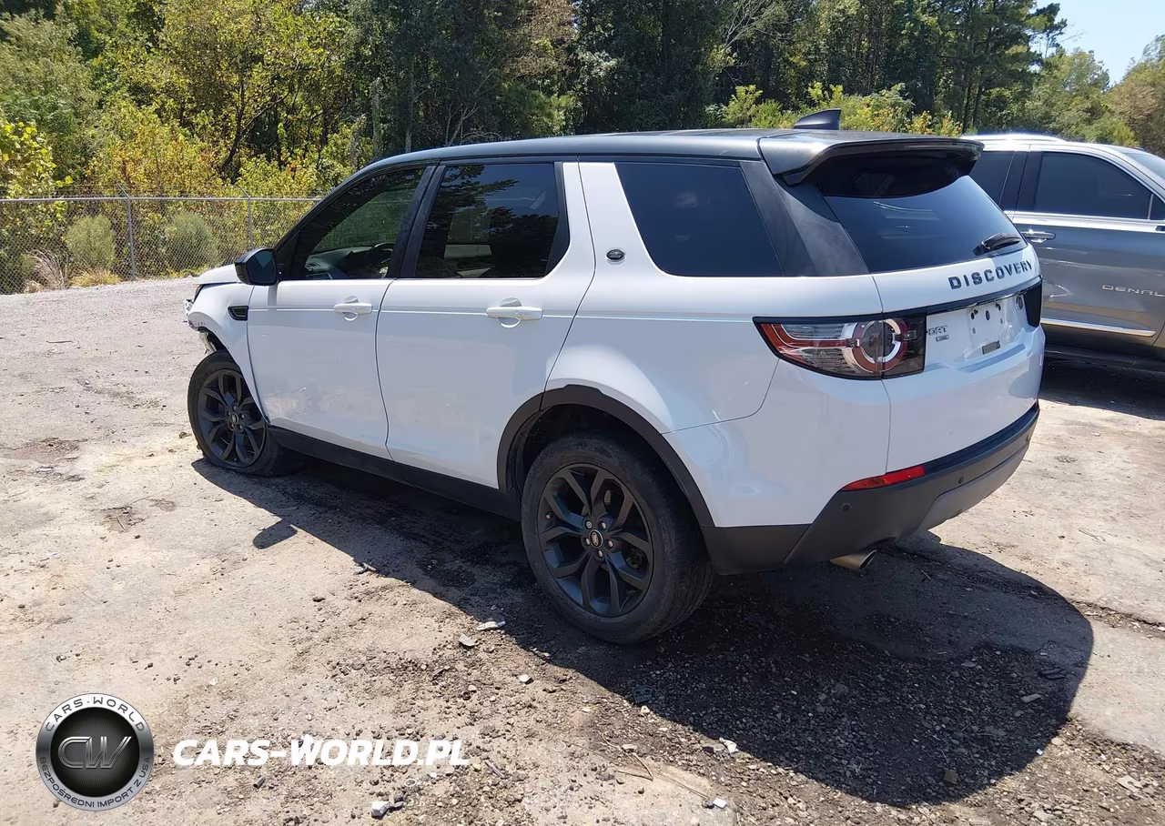2019 Land Rover Discovery Sport Hse-Landmark Edition VIN:SALCR2FX7KH829776 - 3