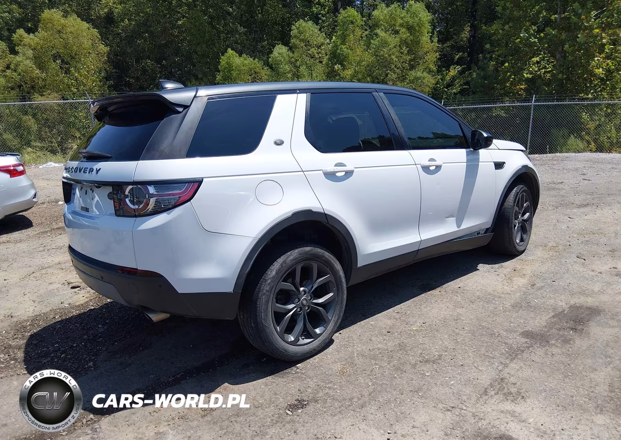 2019 Land Rover Discovery Sport Hse-Landmark Edition VIN:SALCR2FX7KH829776 - 4