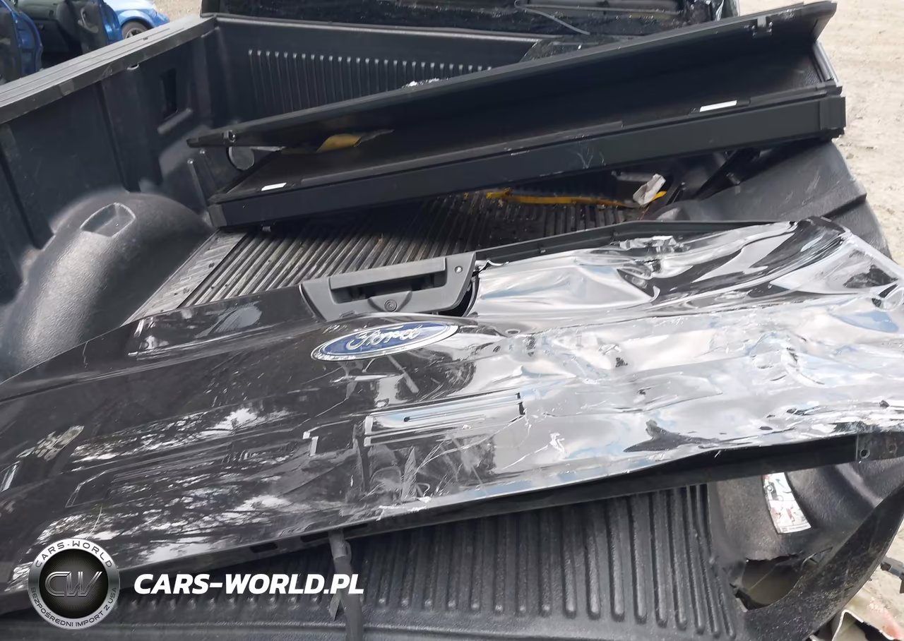 2019 Ford F-150 Xlt VIN:1FTFX1E44KKF21043 - 12