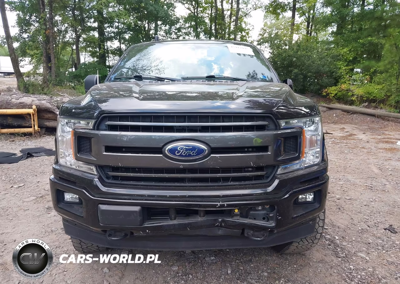 2019 Ford F-150 Xlt VIN:1FTFX1E44KKF21043 - 13