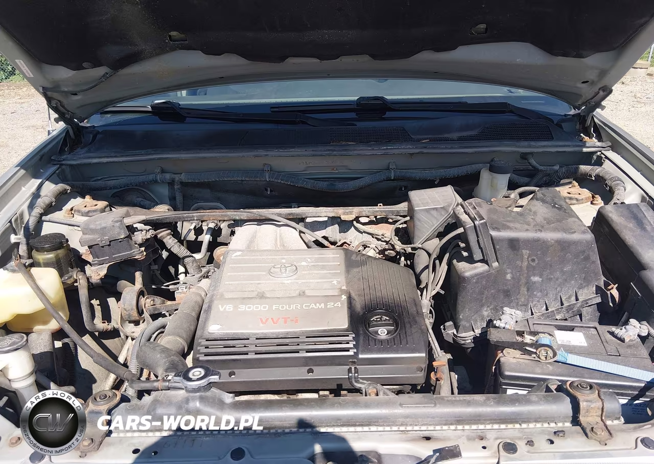 2001 Toyota Highlander V6 VIN:JTEHF21A510023596 - 10