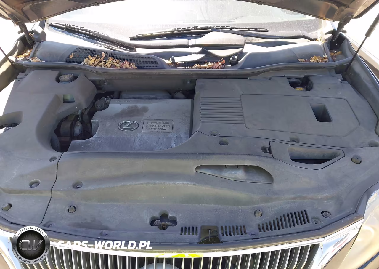 2010 Lexus Rx 450H VIN:JTJZB1BA7A2002702 - 10