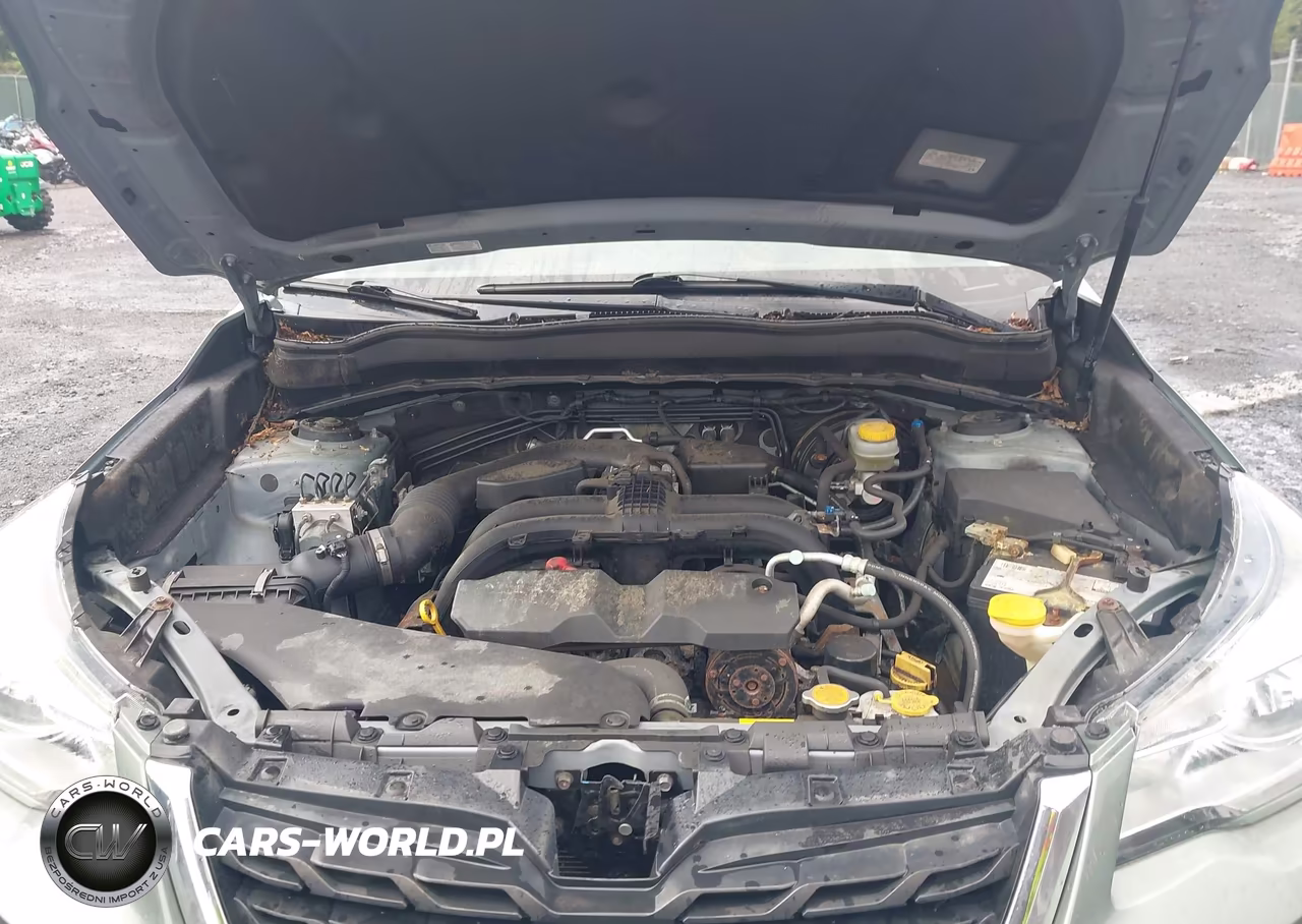 2017 Subaru Forester 2.5I Premium VIN:JF2SJAEC3HH405492 - 10