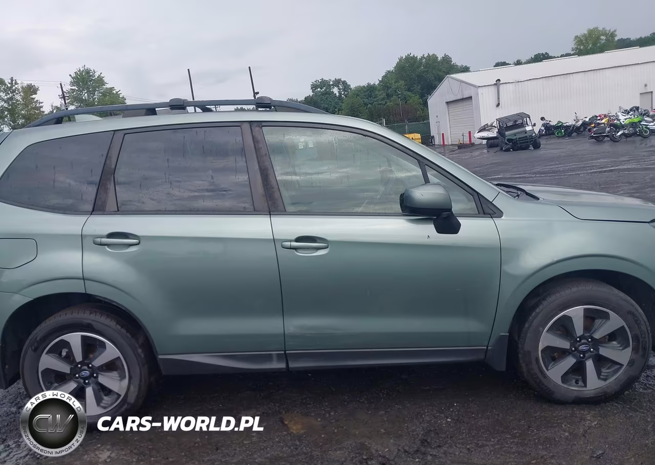 2017 Subaru Forester 2.5I Premium VIN:JF2SJAEC3HH405492 - 13