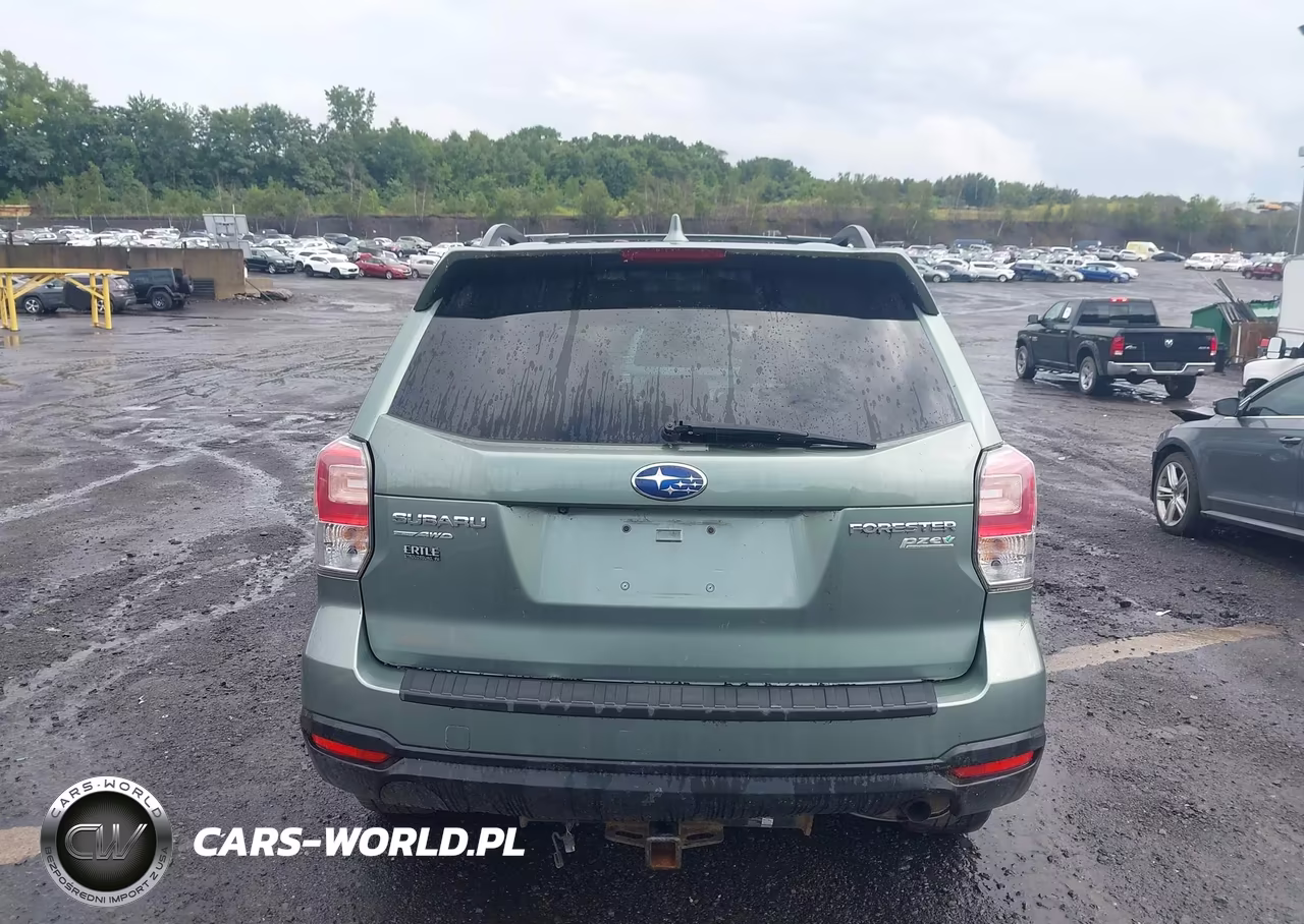 2017 Subaru Forester 2.5I Premium VIN:JF2SJAEC3HH405492 - 16