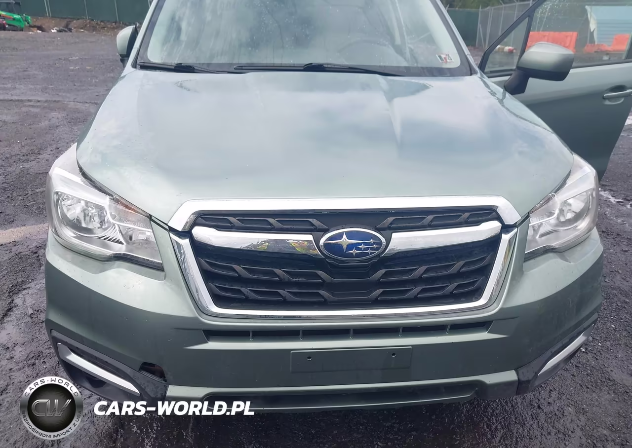 2017 Subaru Forester 2.5I Premium VIN:JF2SJAEC3HH405492 - 6
