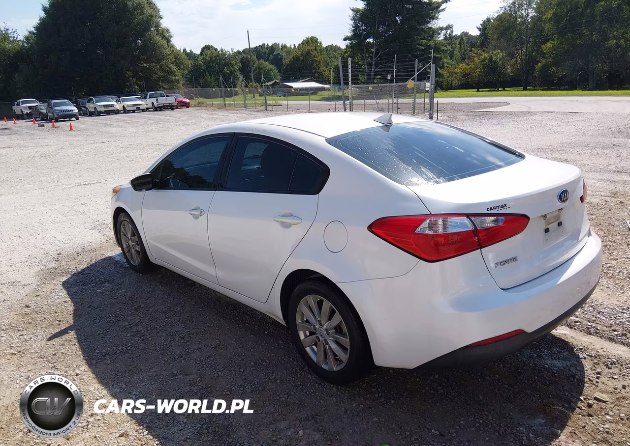 2014 Kia Forte Lx VIN:KNAFX4A61E5155048 - 3