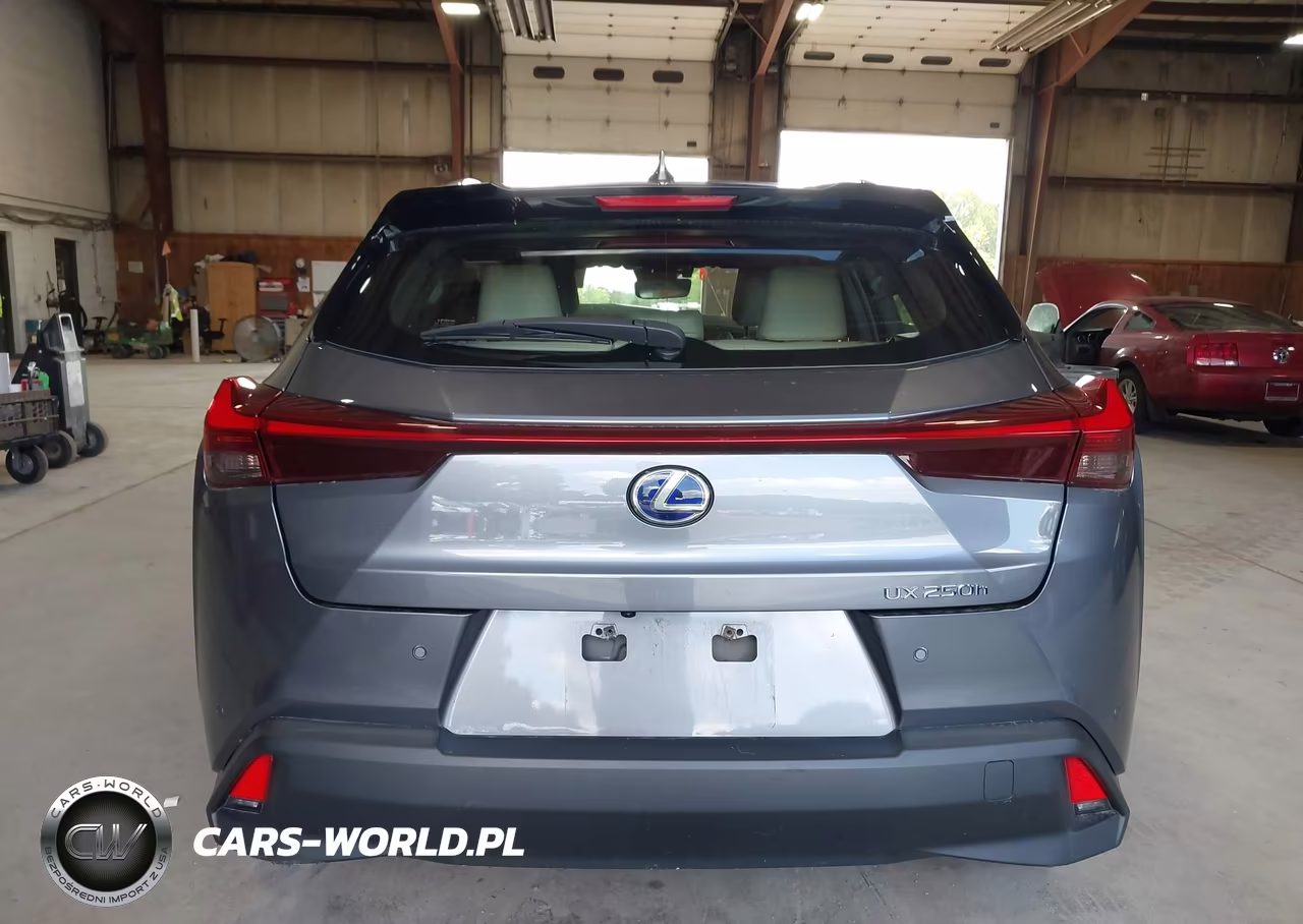 2021 Lexus Ux 250H VIN:JTHP9JBH4M2051295 - 17