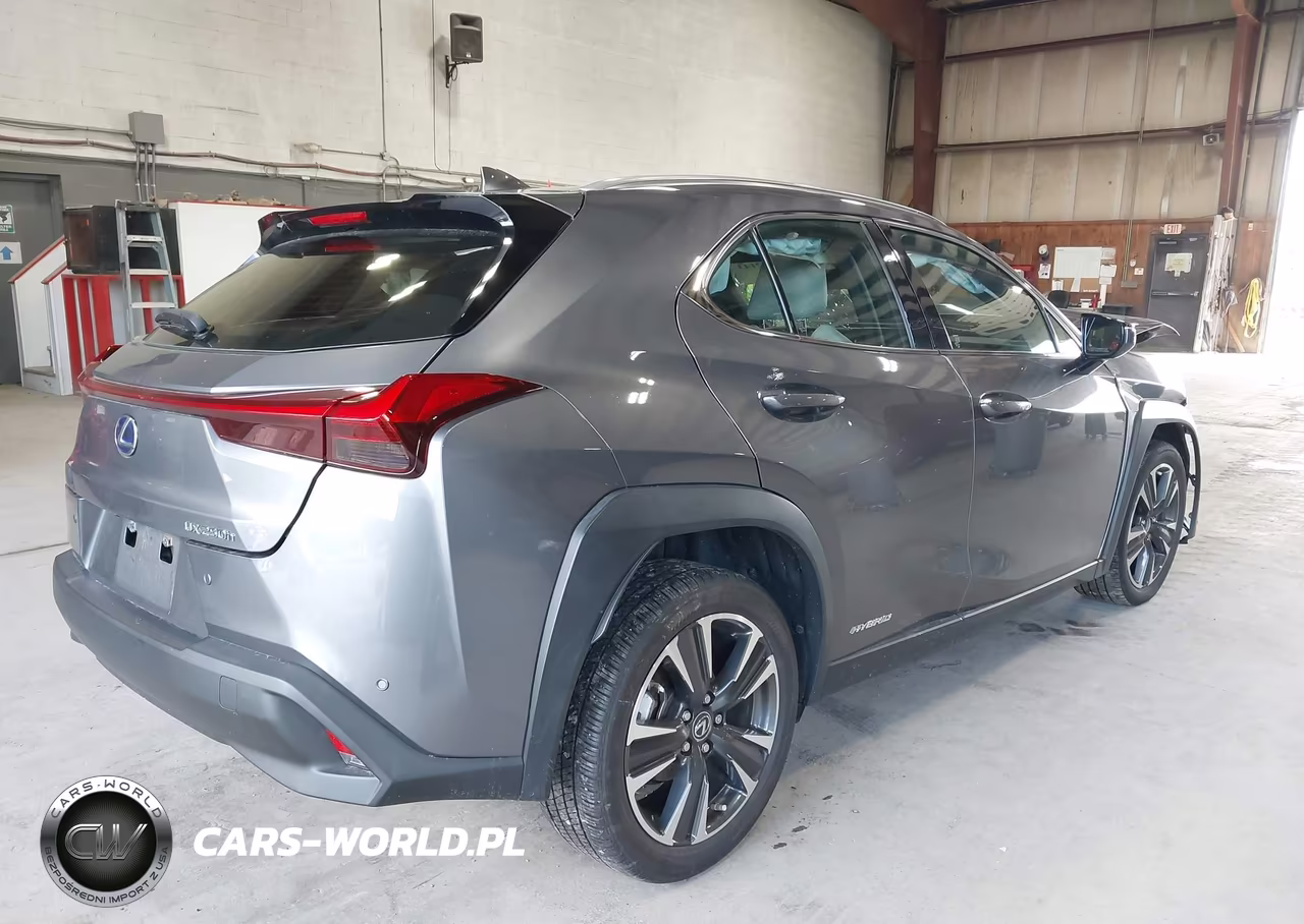2021 Lexus Ux 250H VIN:JTHP9JBH4M2051295 - 4