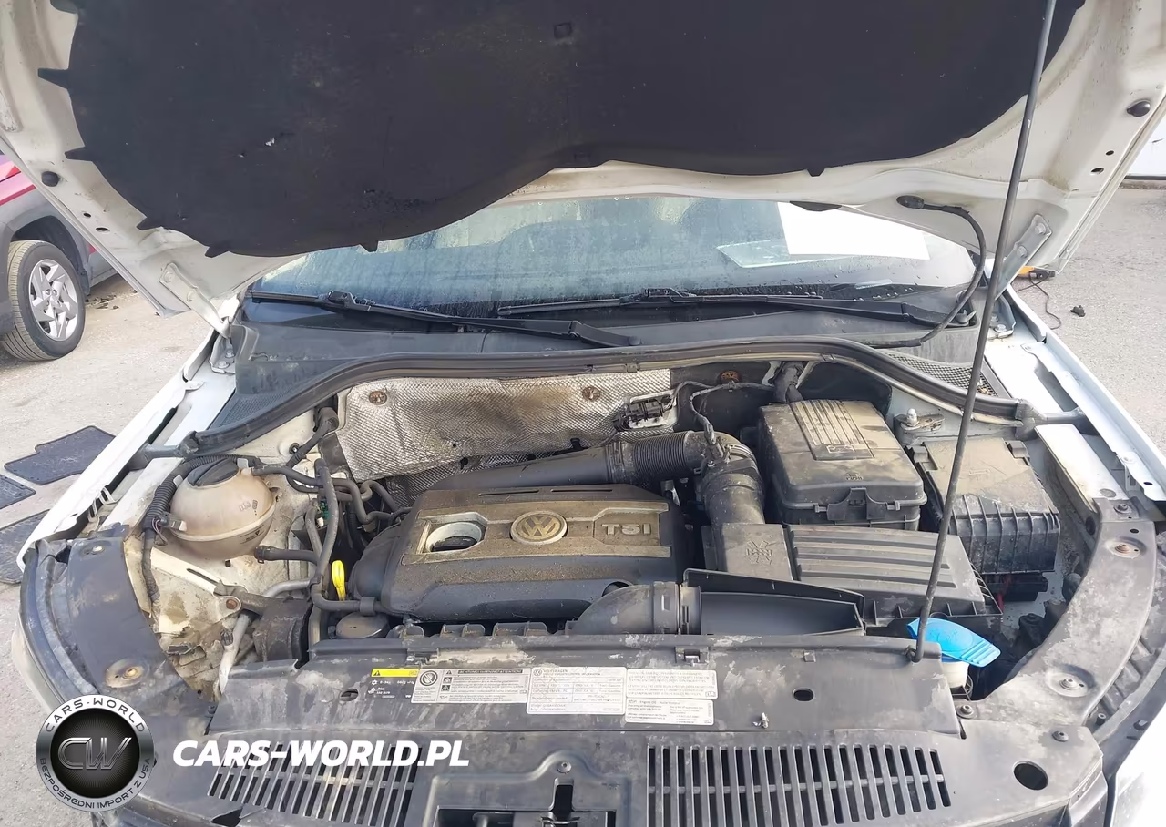 2016 Volkswagen Tiguan S VIN:WVGBV7AX1GW529880 - 10