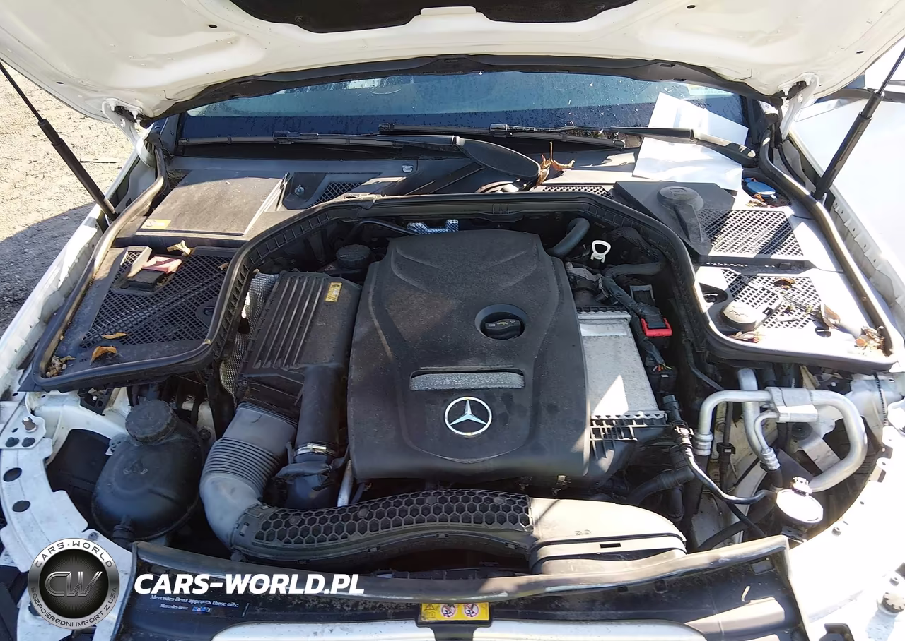 2015 Mercedes-Benz C 300 4Matic VIN:55SWF4KB4FU023420 - 10