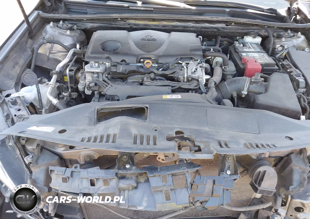 2019 Toyota Camry Se VIN:4T1B11HK1KU685957 - 10