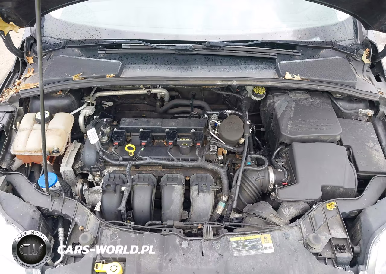 2012 Ford Focus Sel VIN:1FAHP3M22CL478814 - 10