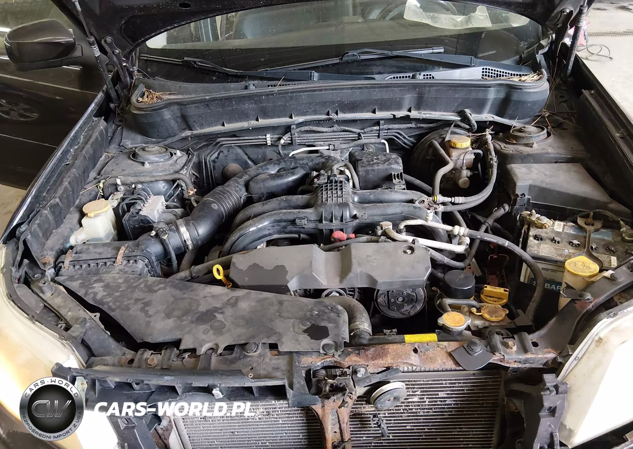 2013 Subaru Forester 2.5X Limited VIN:JF2SHAFCXDH436484 - 10