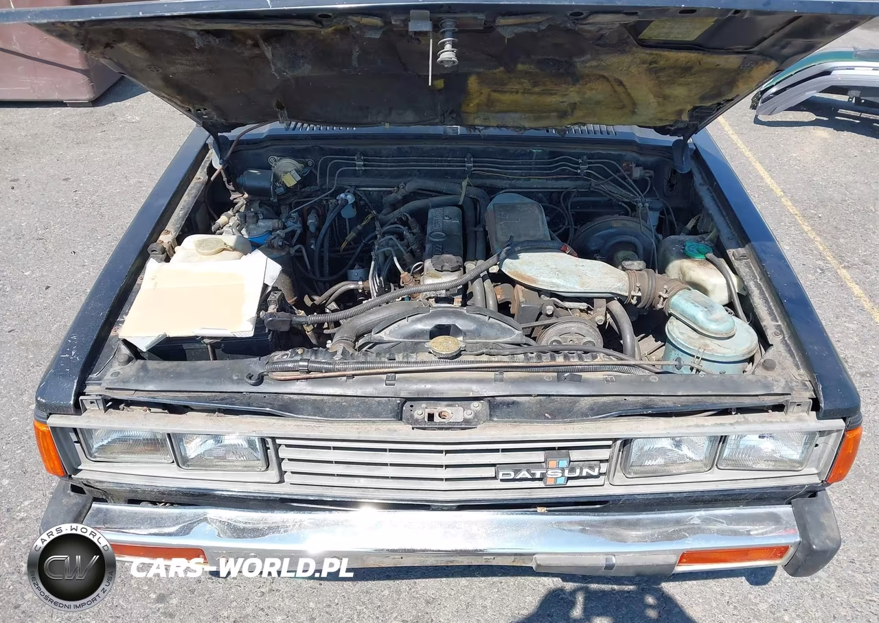 1982 Datsun 720 King Cab VIN:JN6SD06S7CW118518 - 10