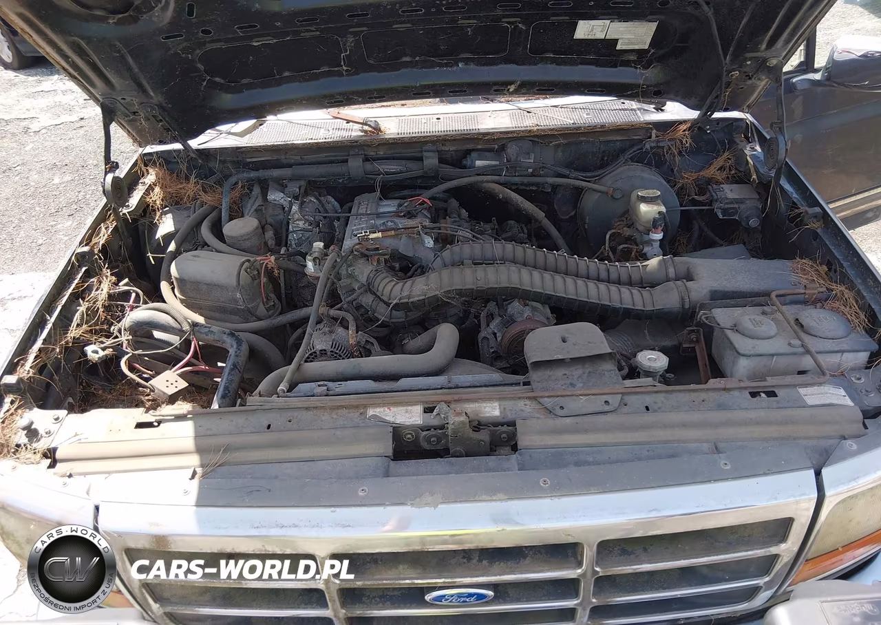 1995 Ford F250 VIN:1FTHF26H5SNB01177 - 10